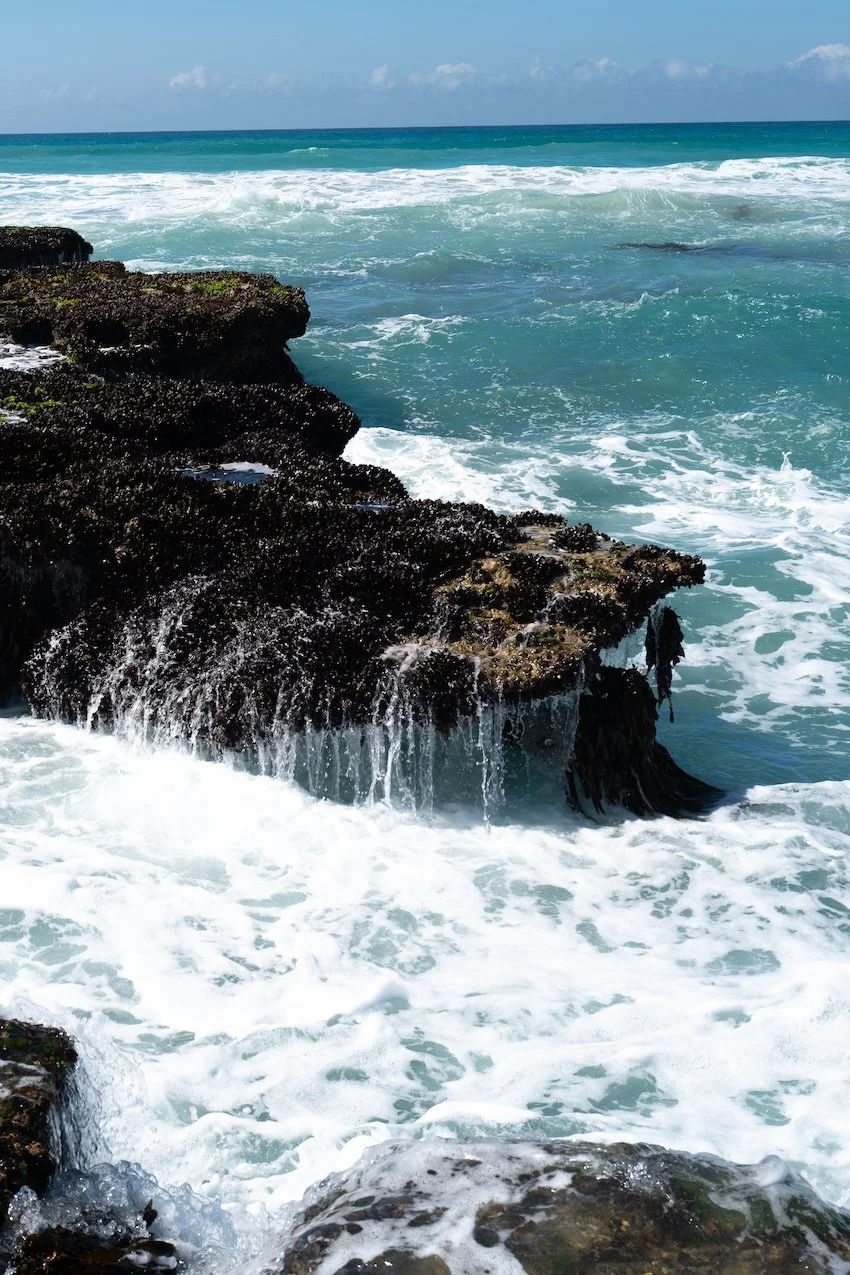 Reisetipps Südafrika De Hoop Nature Reserve Südafrika