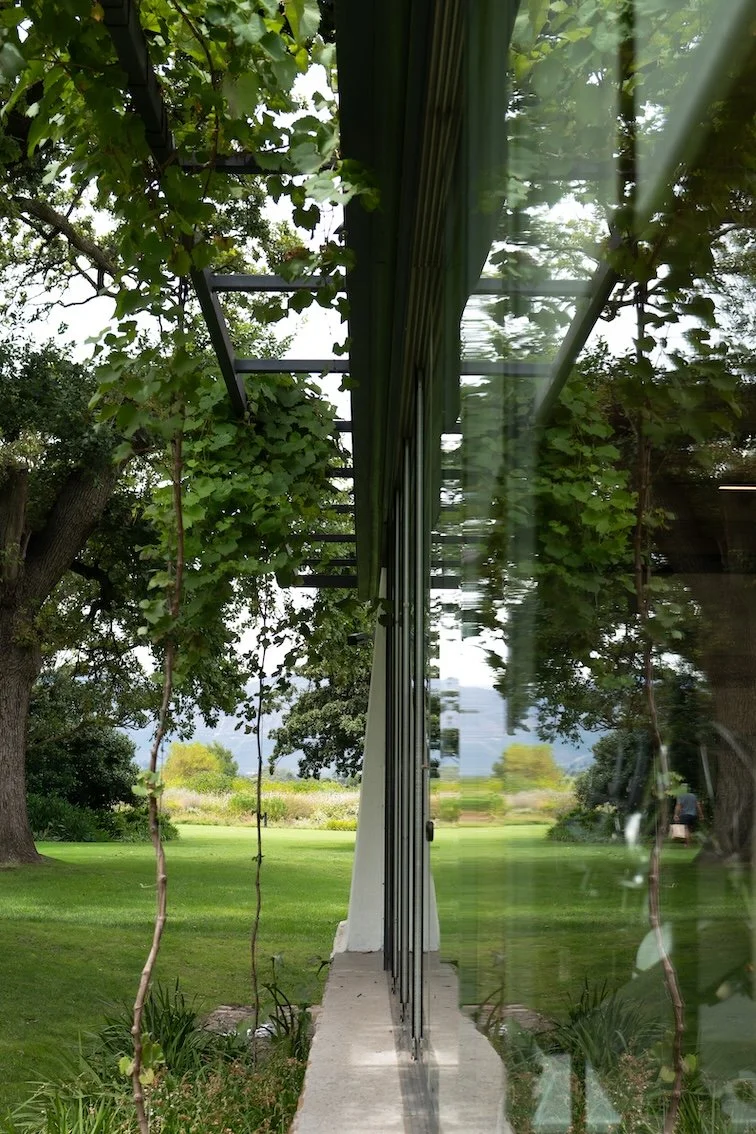 Gut essen in Franschhoek - meine Tipps 