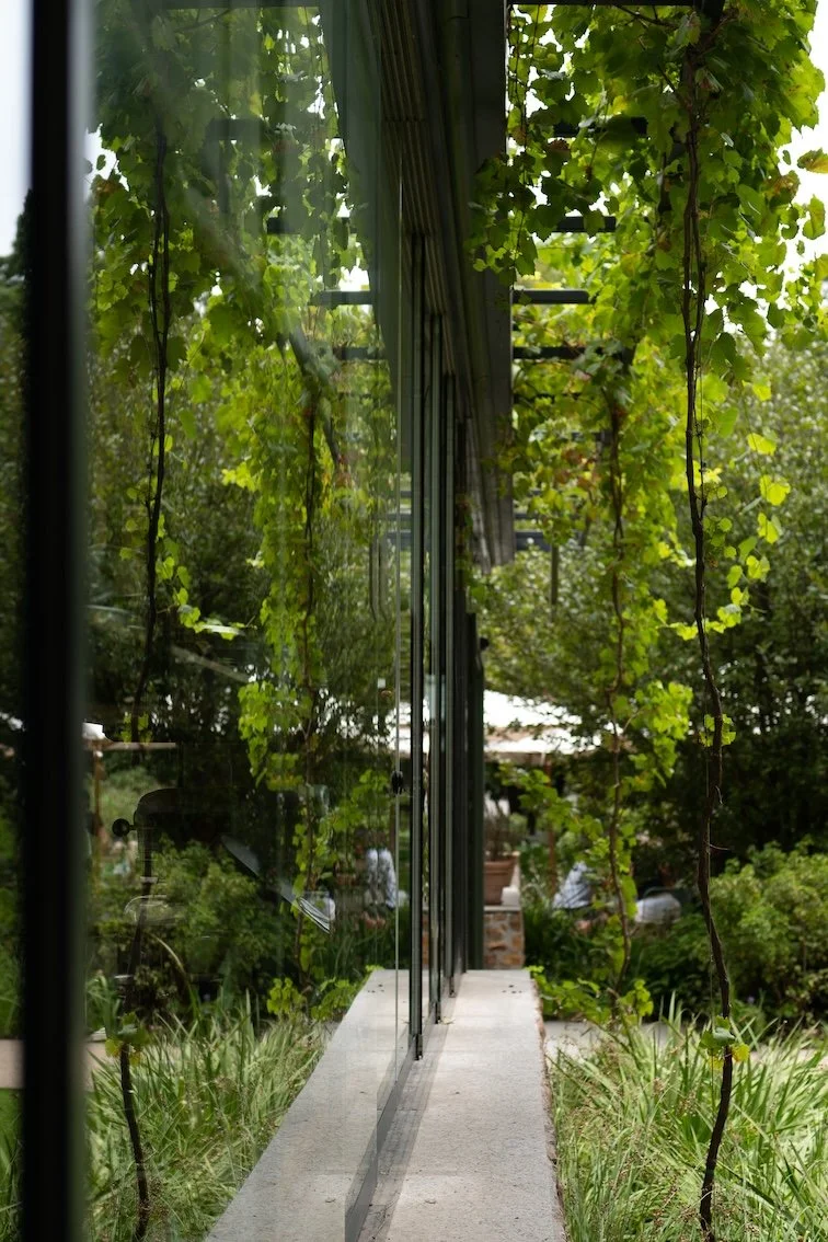 Gut essen in Franschhoek - meine Tipps 