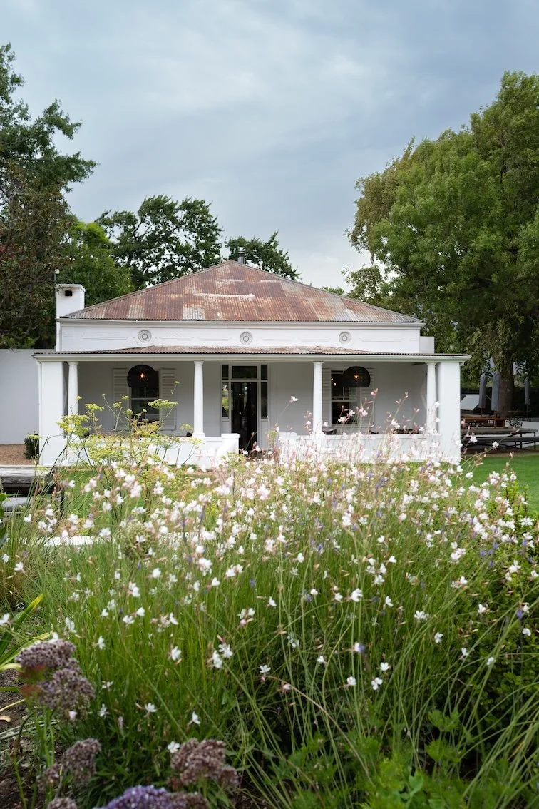 Gut essen in Franschhoek - meine Tipps 