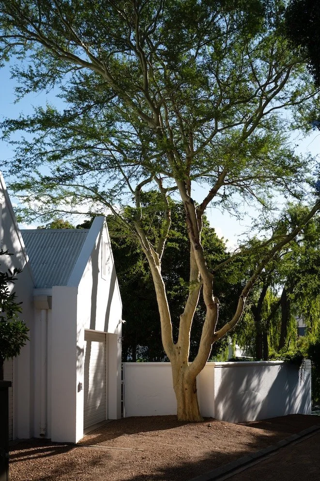 Gut essen in Franschhoek - meine Tipps 