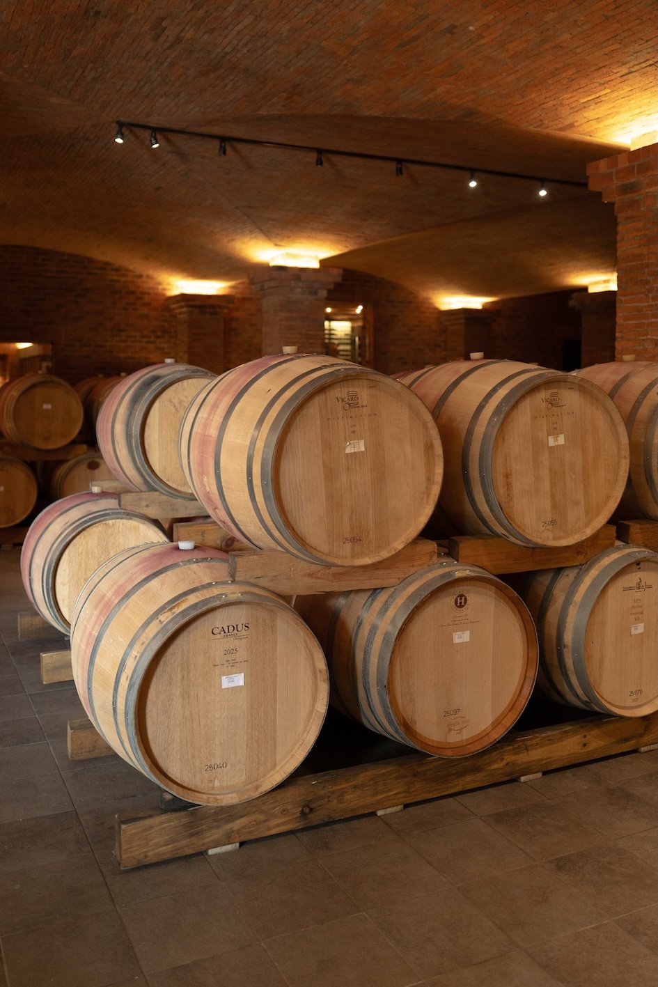 Gut essen in Franschhoek - meine Tipps 