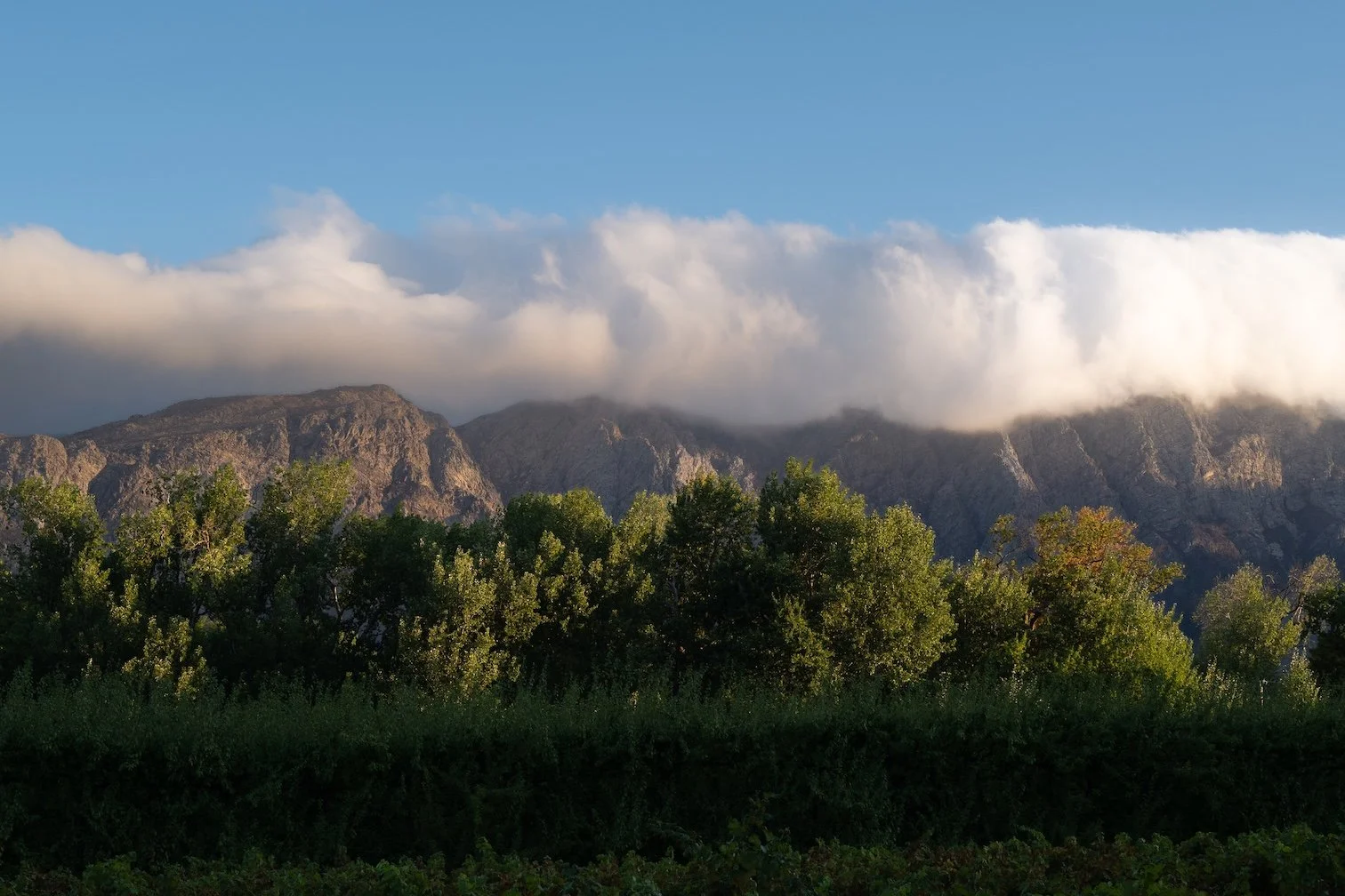Franschhoek: Französischer Charme im Herzen der Winelands
