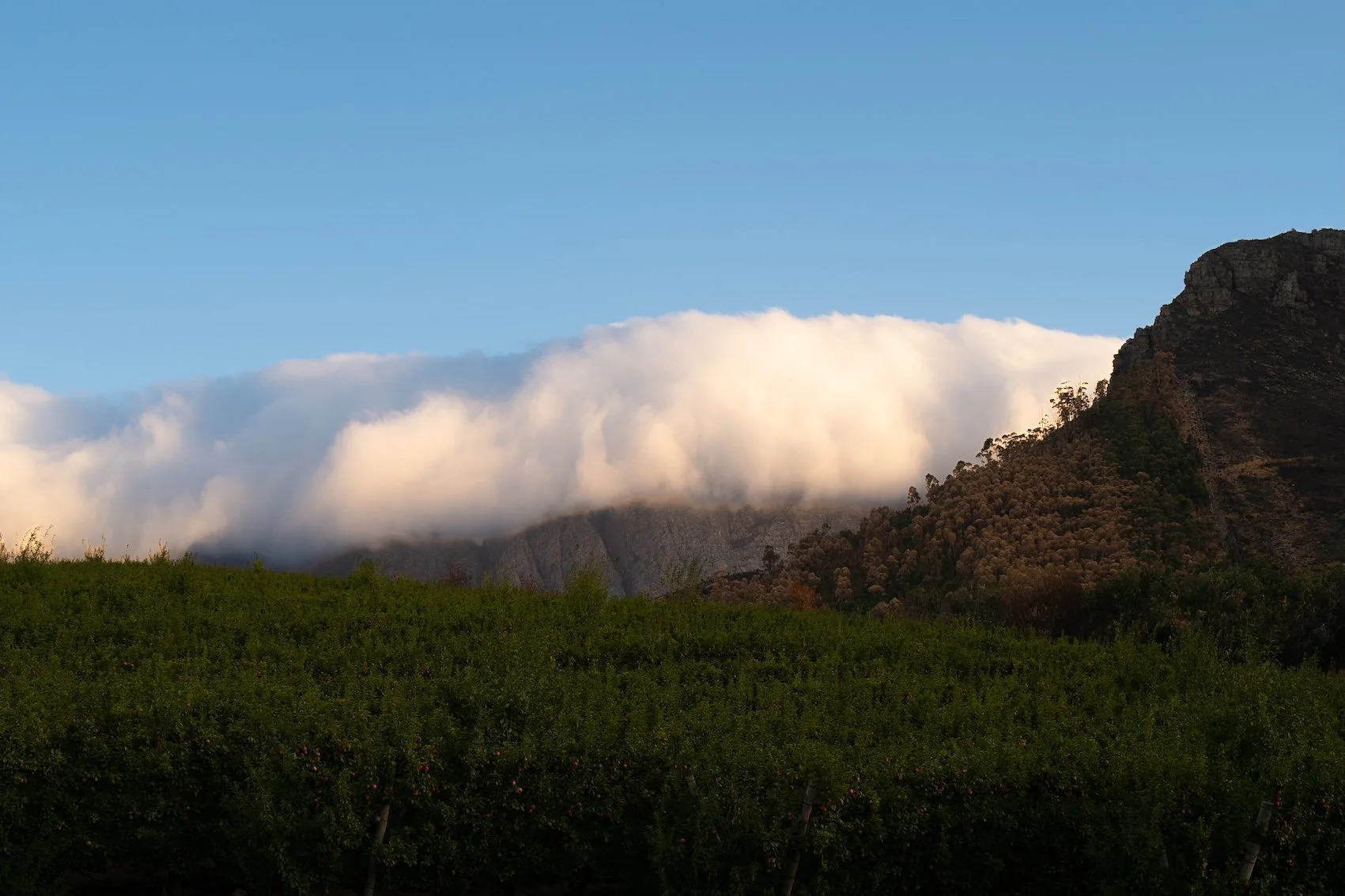 Franschhoek: Französischer Charme im Herzen der Winelands