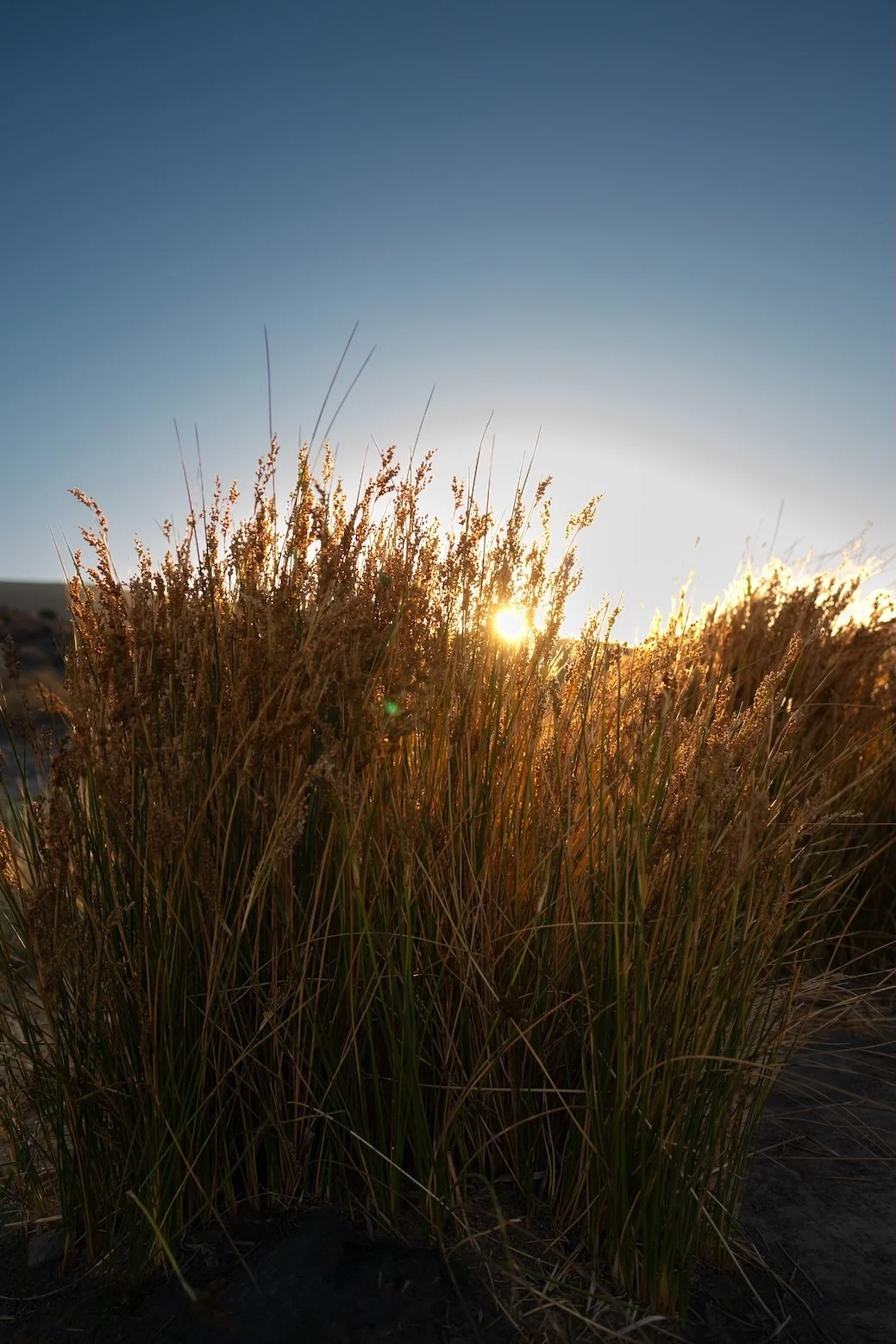 Safari in Südafrika - die schönsten Orte 