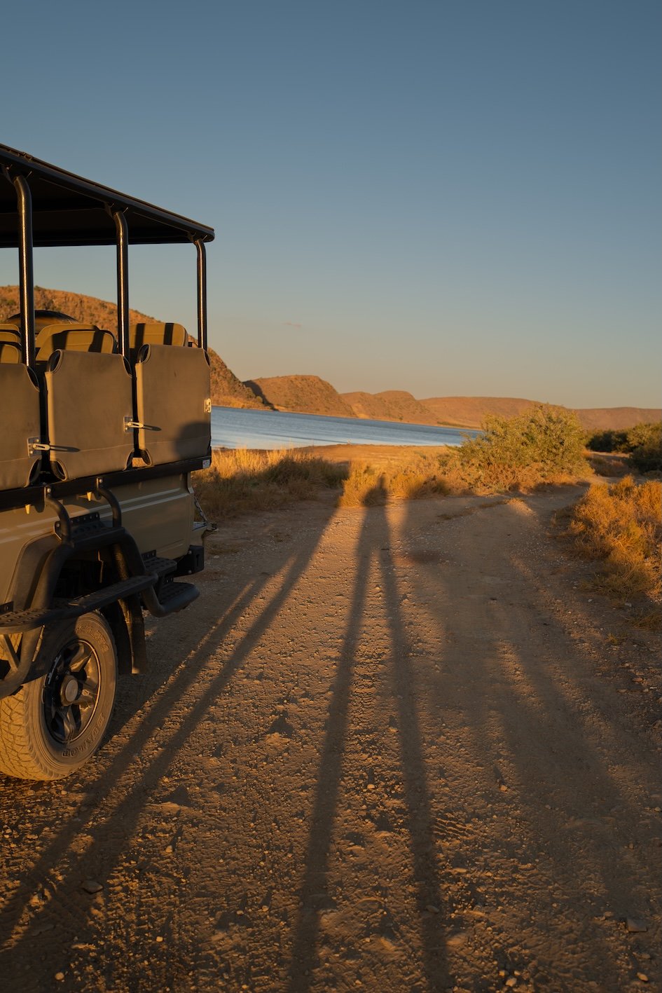 Safari in Südafrika - die schönsten Orte 