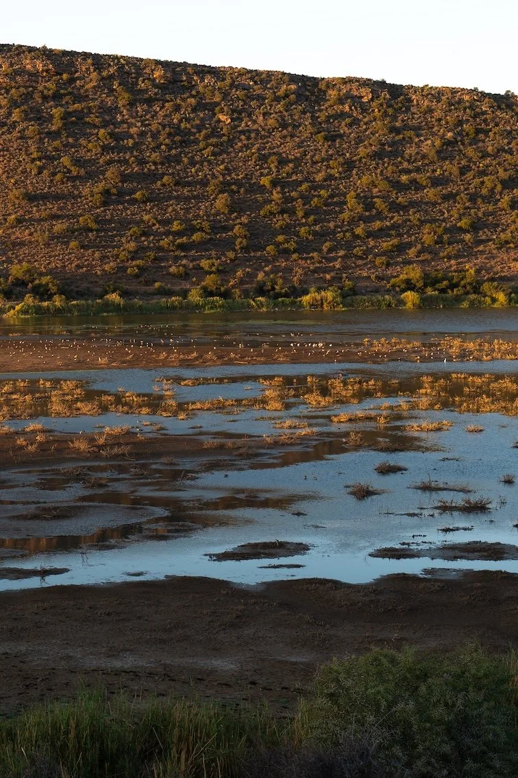 Safari in Südafrika - die schönsten Orte 