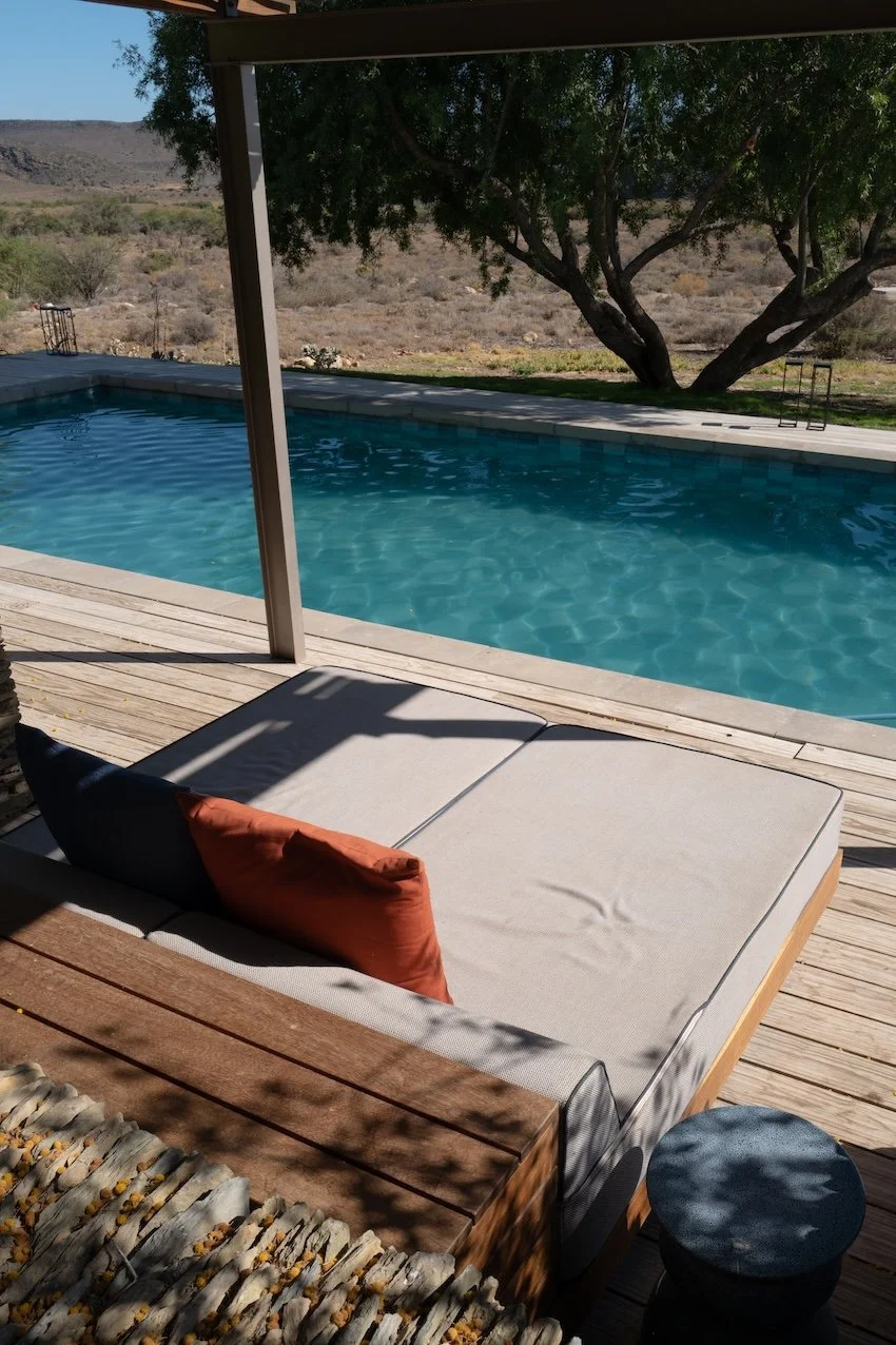 Safari in Südafrika - die schönsten Orte 