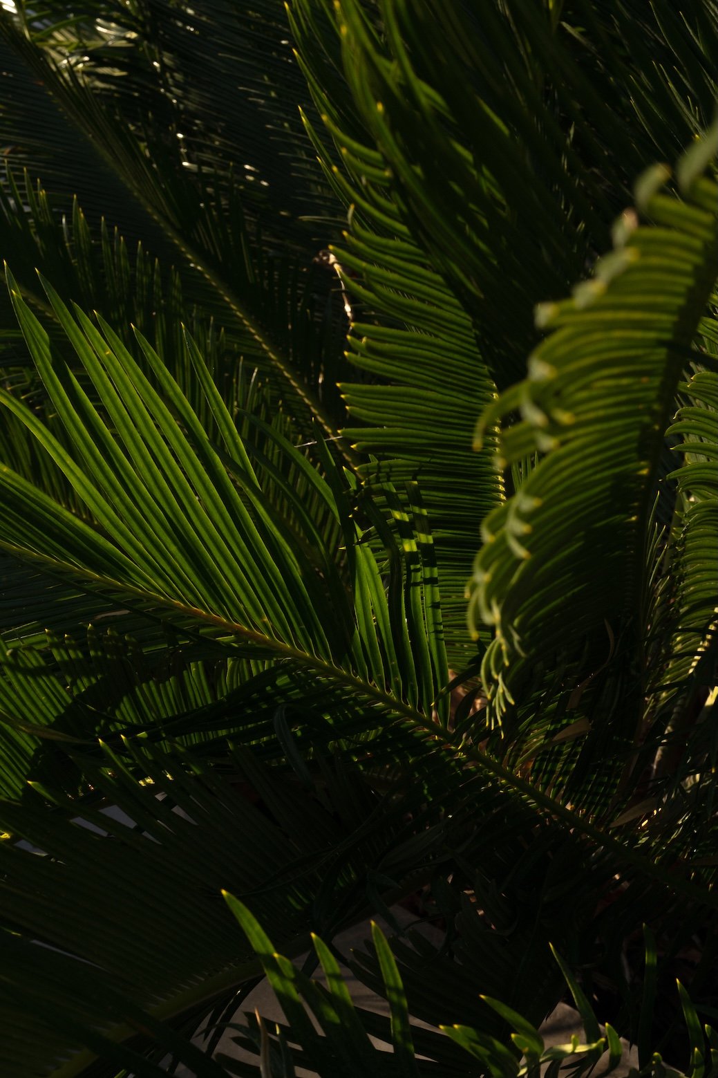 L1018903.jpg