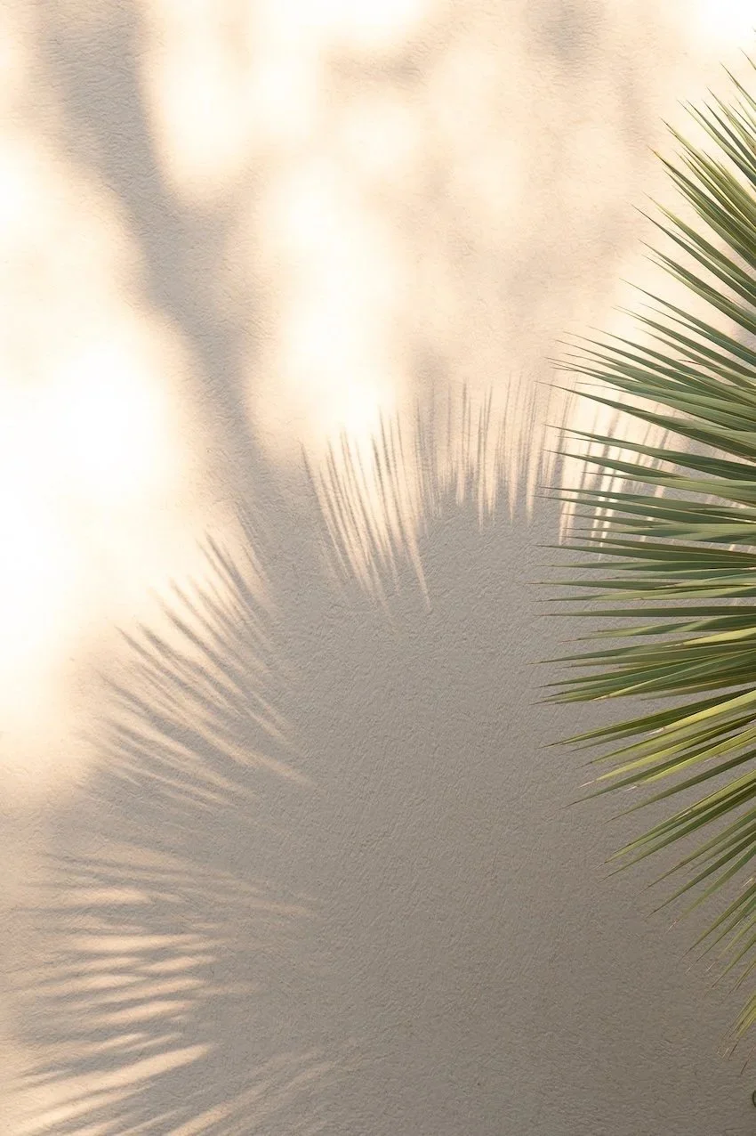 Destination Summer &amp; Côte d’Azur: Spend a Day with Me