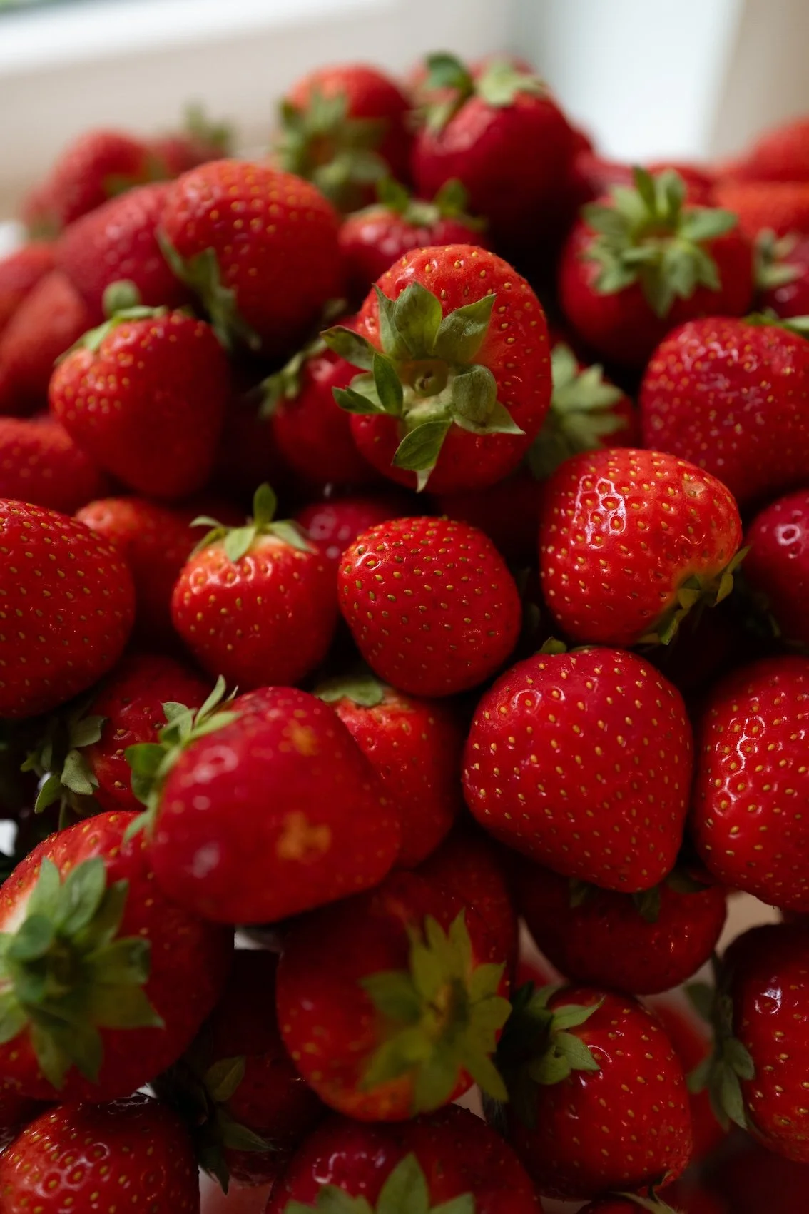 Über 60 Marmeladenrezepte – von Klassikern bis zu kreativen Neukreationen