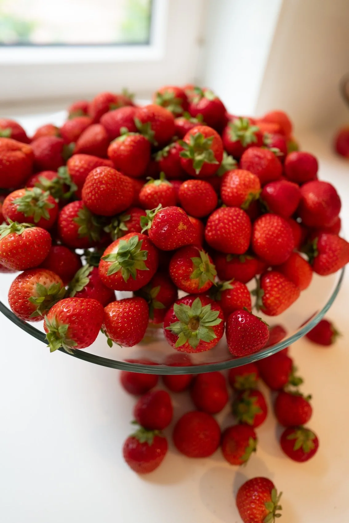Über 60 Marmeladenrezepte – von Klassikern bis zu kreativen Neukreationen