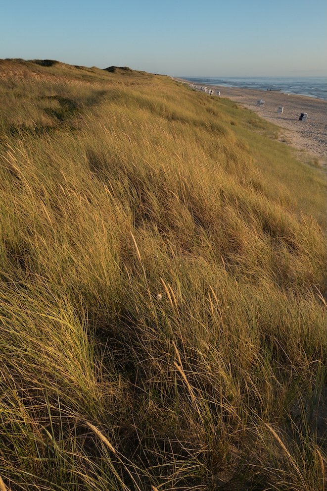 L1021658.jpg
