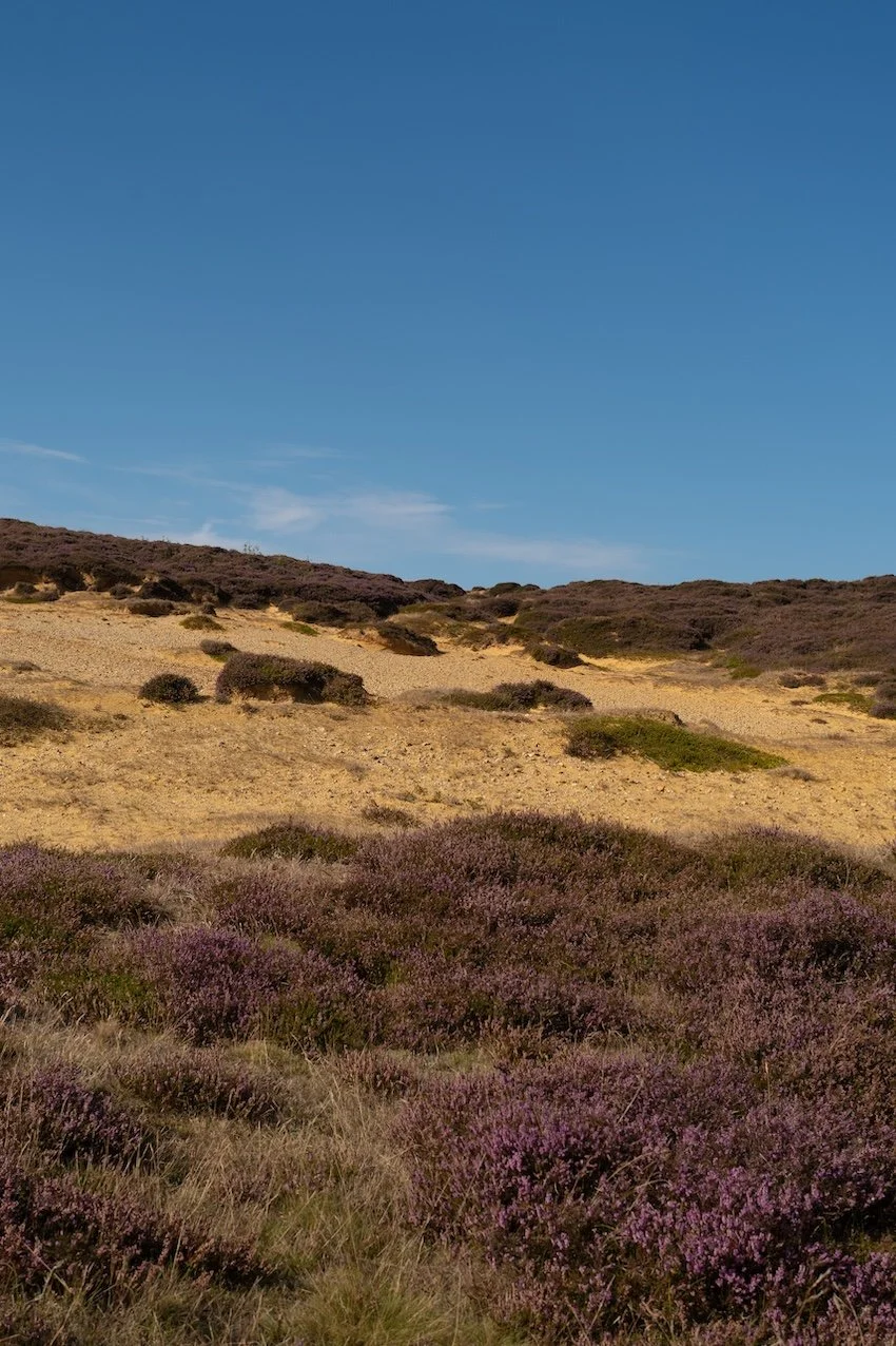 Morsum Kliff Sylt 