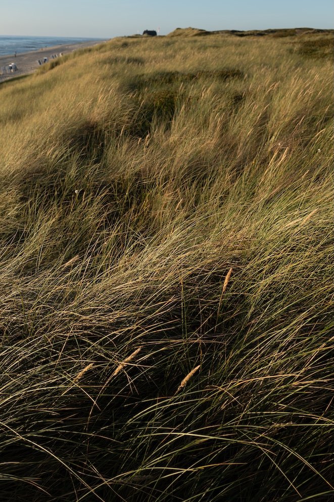 Reisetipps Rantum Sylt - die schönsten Plätze 