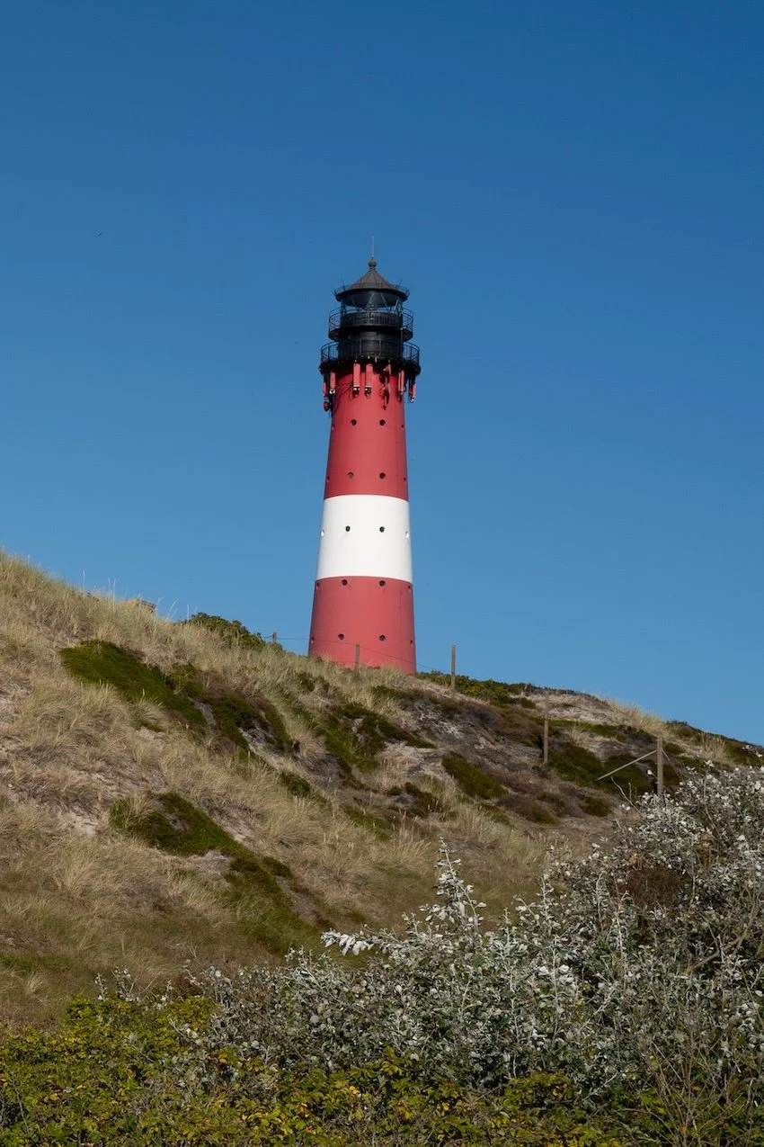 Hörnum - drei Seiten Meer und Strand und die - für mich - besten Muscheln der Insel 