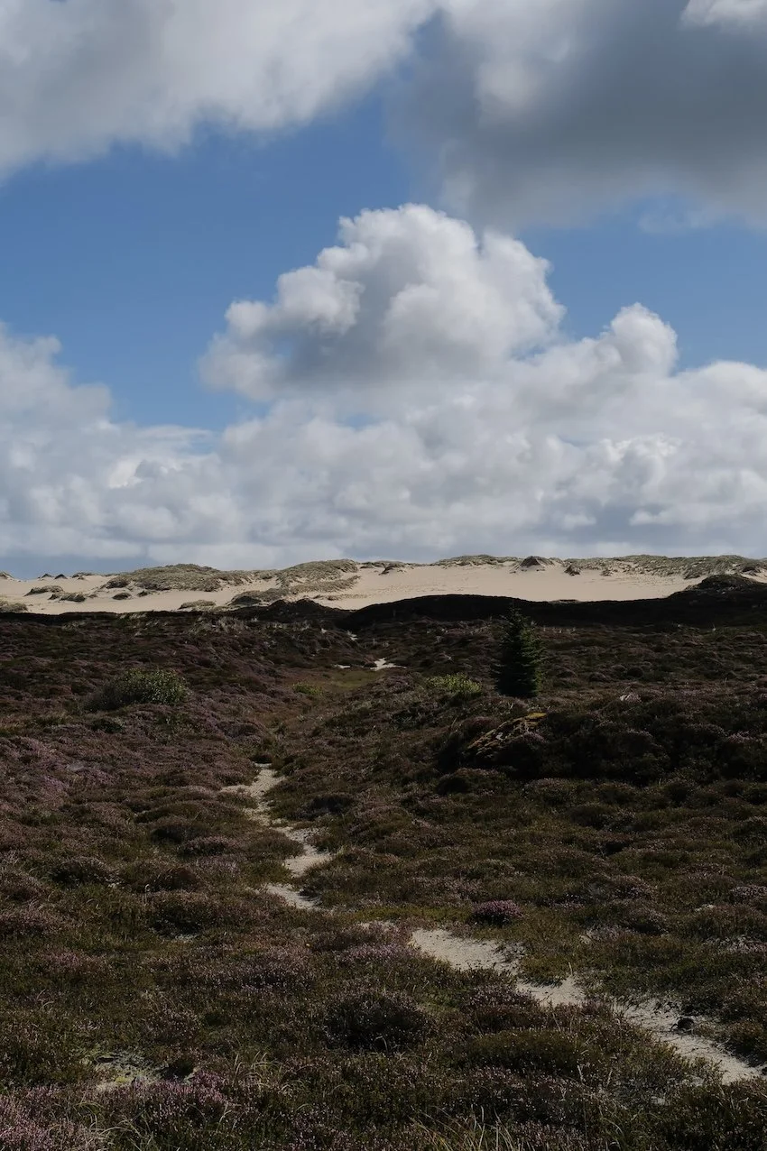 Reisetipps List Sylt 