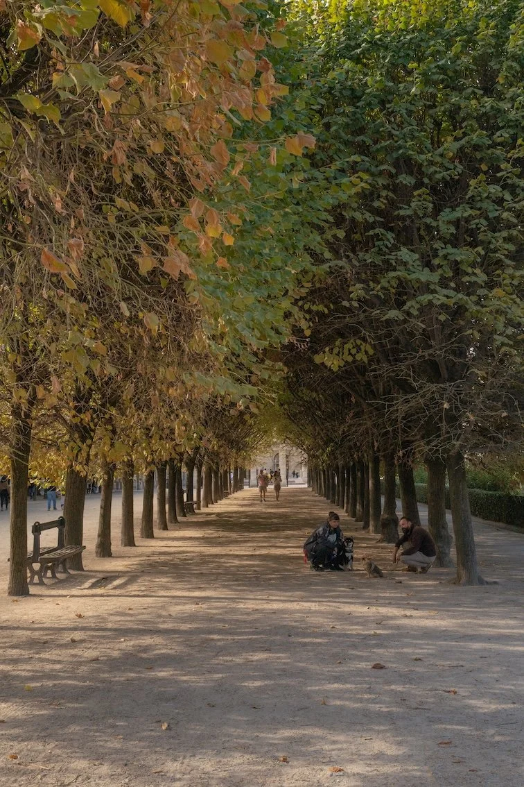 Paris Is for Parc Lovers