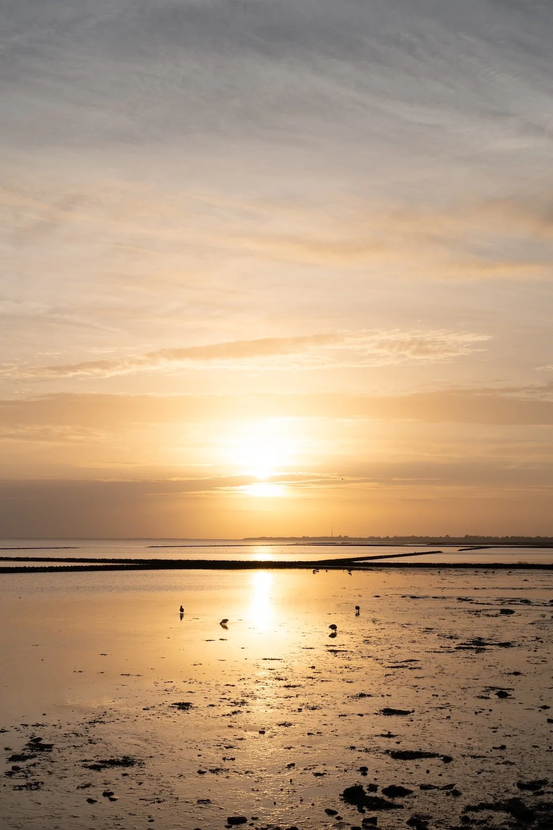 Reisetipps Sylt -Morgenstimmung in Keitum am Wattenmeer