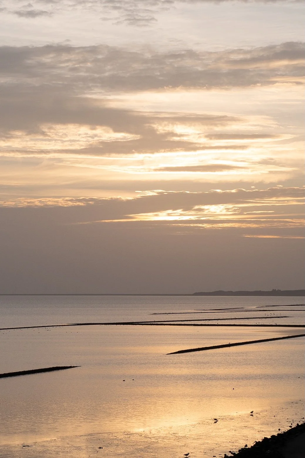 Reisetipps Sylt -Morgenstimmung in Keitum am Wattenmeer