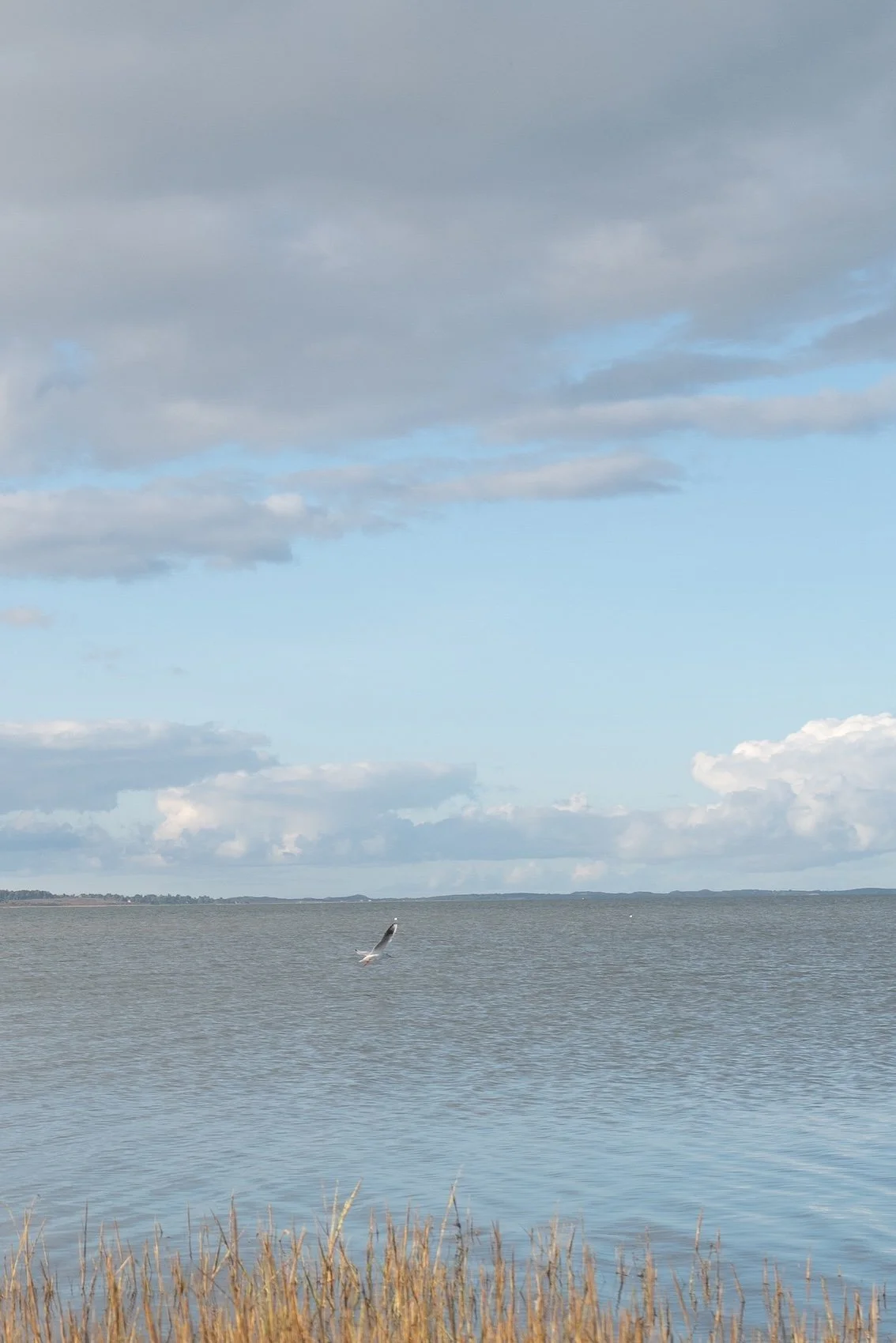 Reisetipps Sylt -Morgenstimmung in Keitum am Wattenmeer