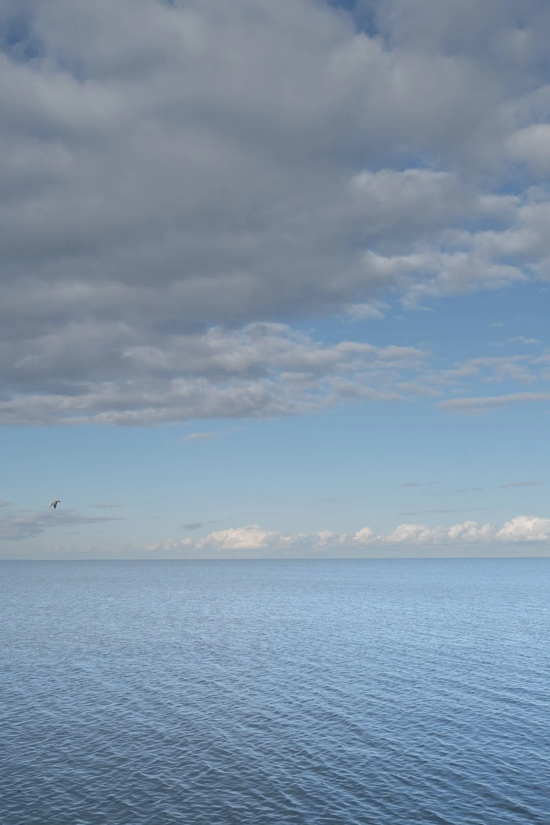 Reisetipps Sylt -Morgenstimmung in Keitum am Wattenmeer
