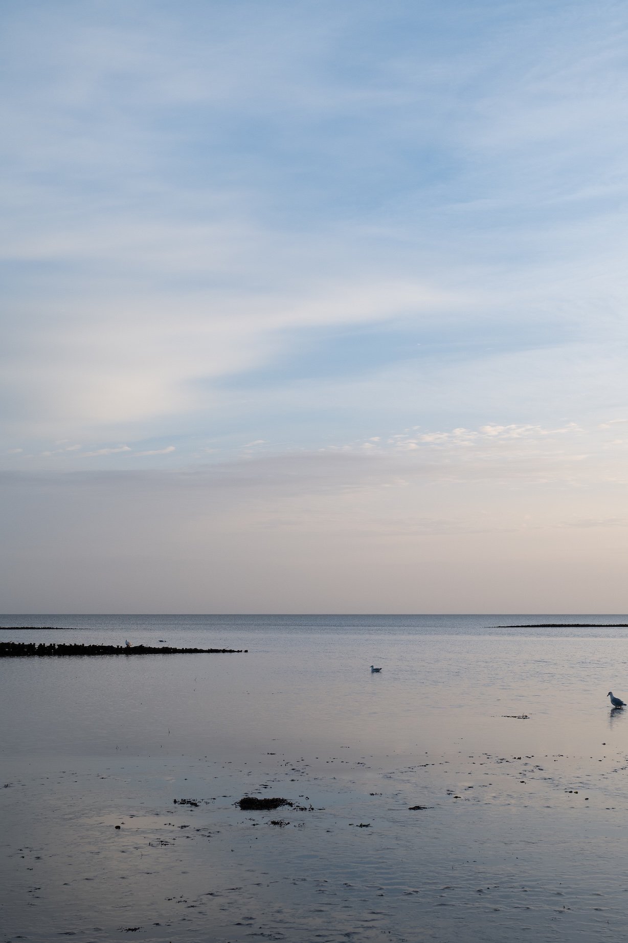 Reisetipps Sylt -Morgenstimmung in Keitum am Wattenmeer