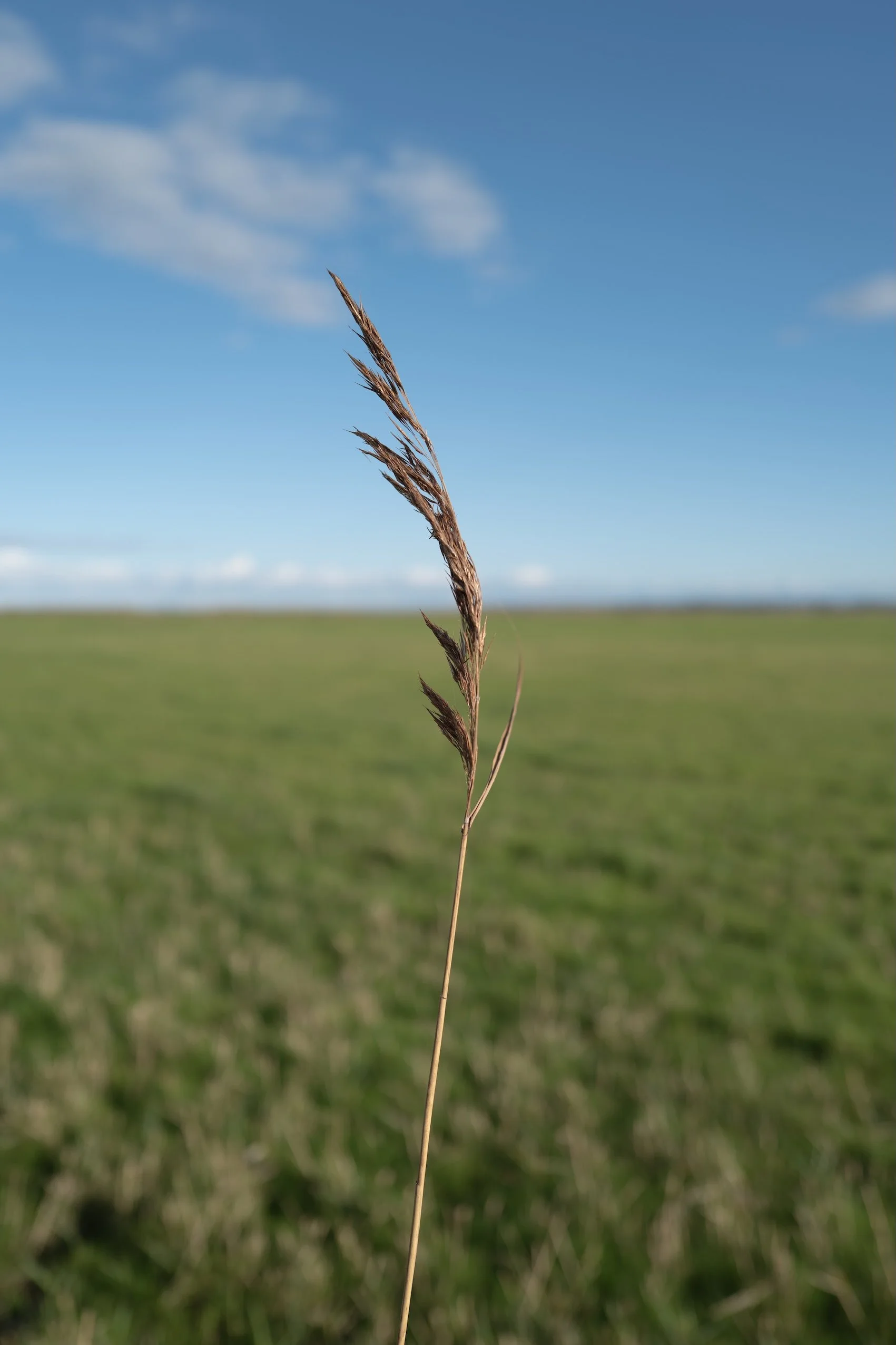 Herbst: Sylt mit Rückenwind und einer frischen Brise, die so guttut!