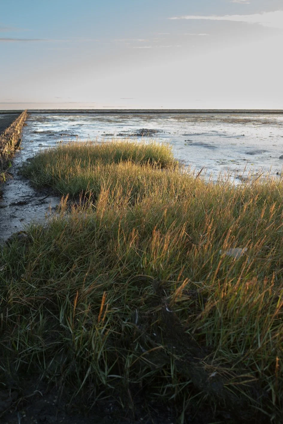 Herbst: Sylt mit Rückenwind und einer frischen Brise, die so guttut!