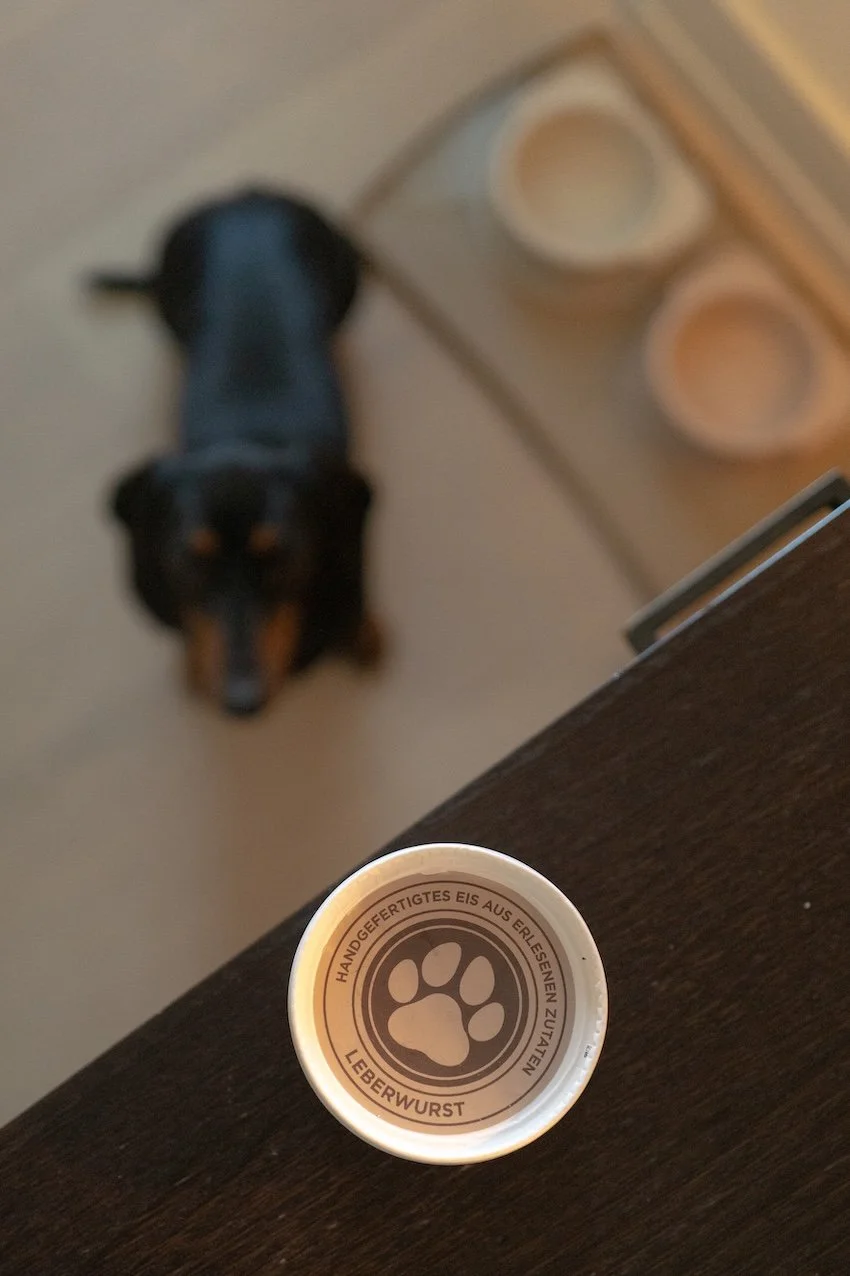 Definitiv Dog Friendly: Severin*s Resort Sylt