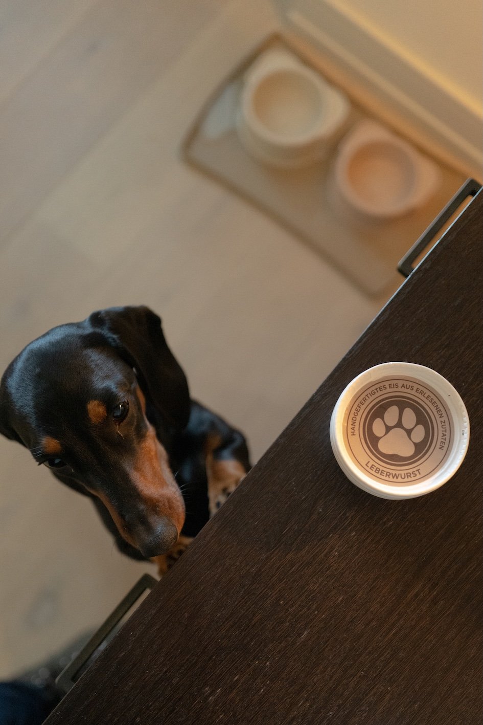 Definitiv Dog Friendly: Severin*s Resort Sylt