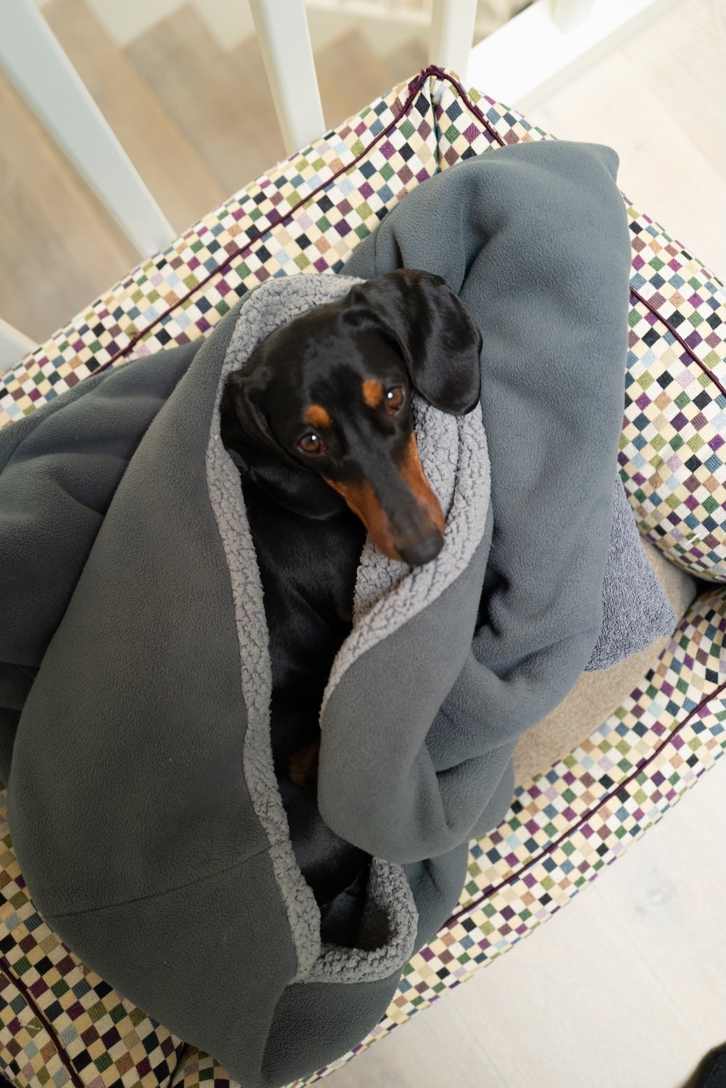 Definitiv Dog Friendly: Severin*s Resort Sylt