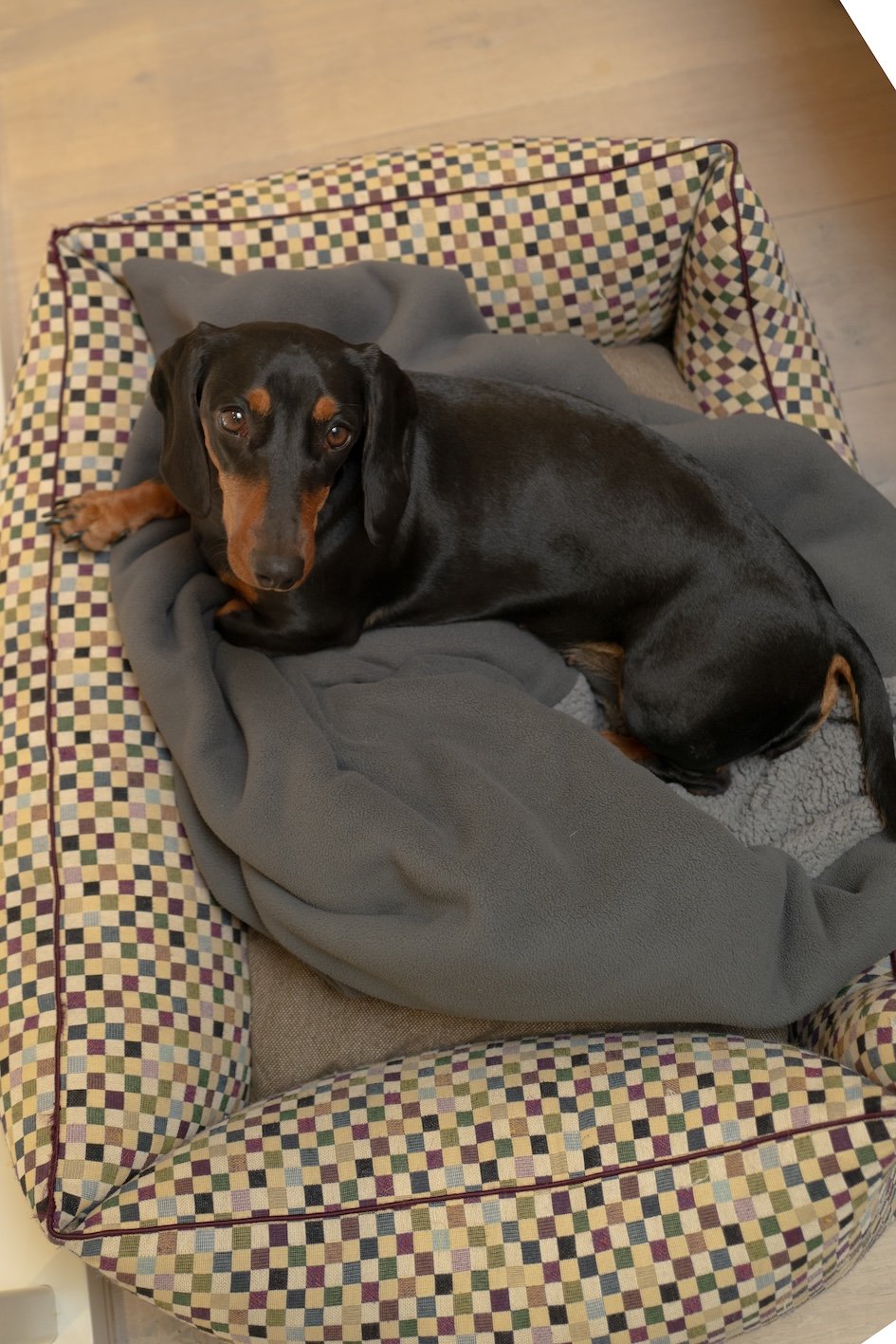 Definitiv Dog Friendly: Severin*s Resort Sylt