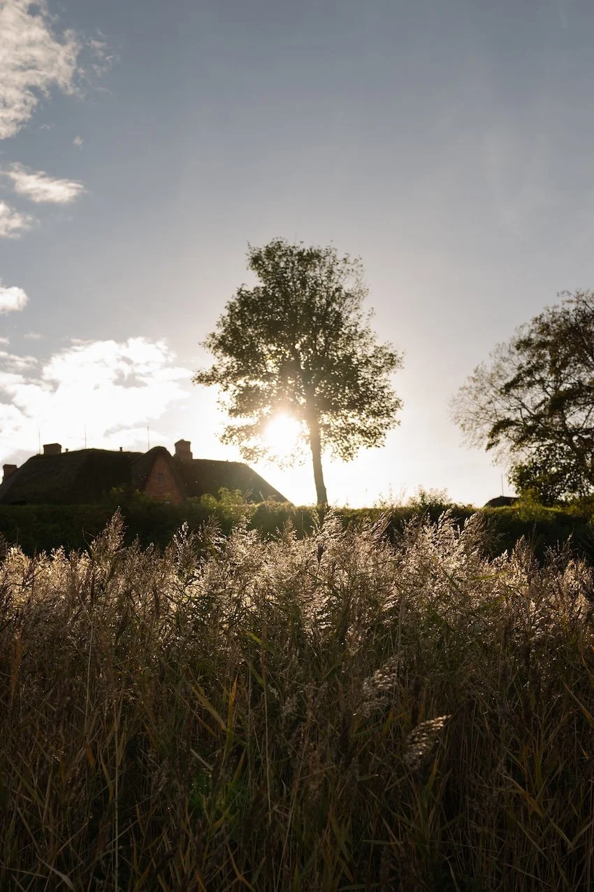 Reisetipps Keitum im Herbst 