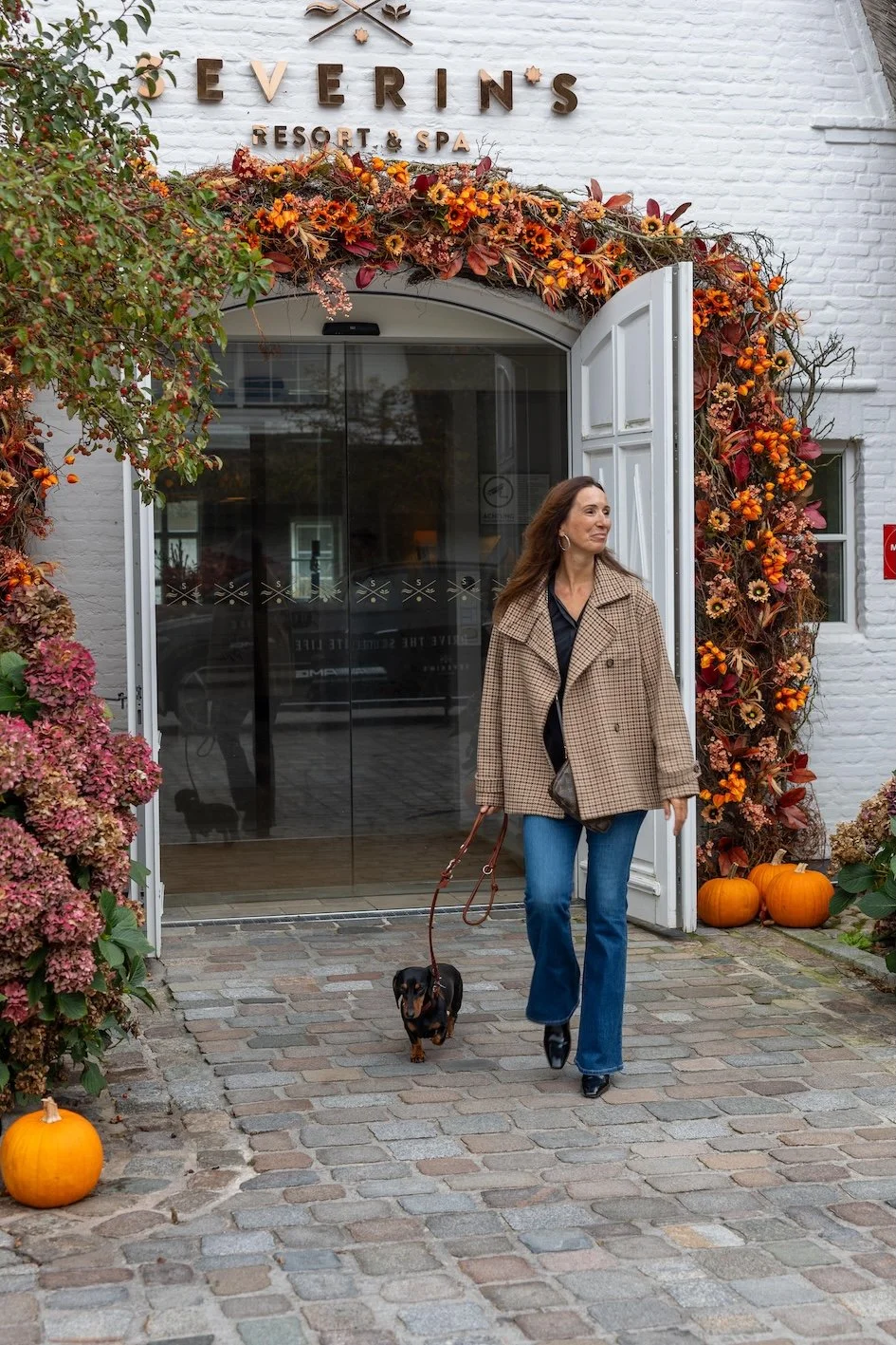 Glück auf sechs Beinen - Solotrip mit Dackel Emma ins Severin*s Resort auf Sylt