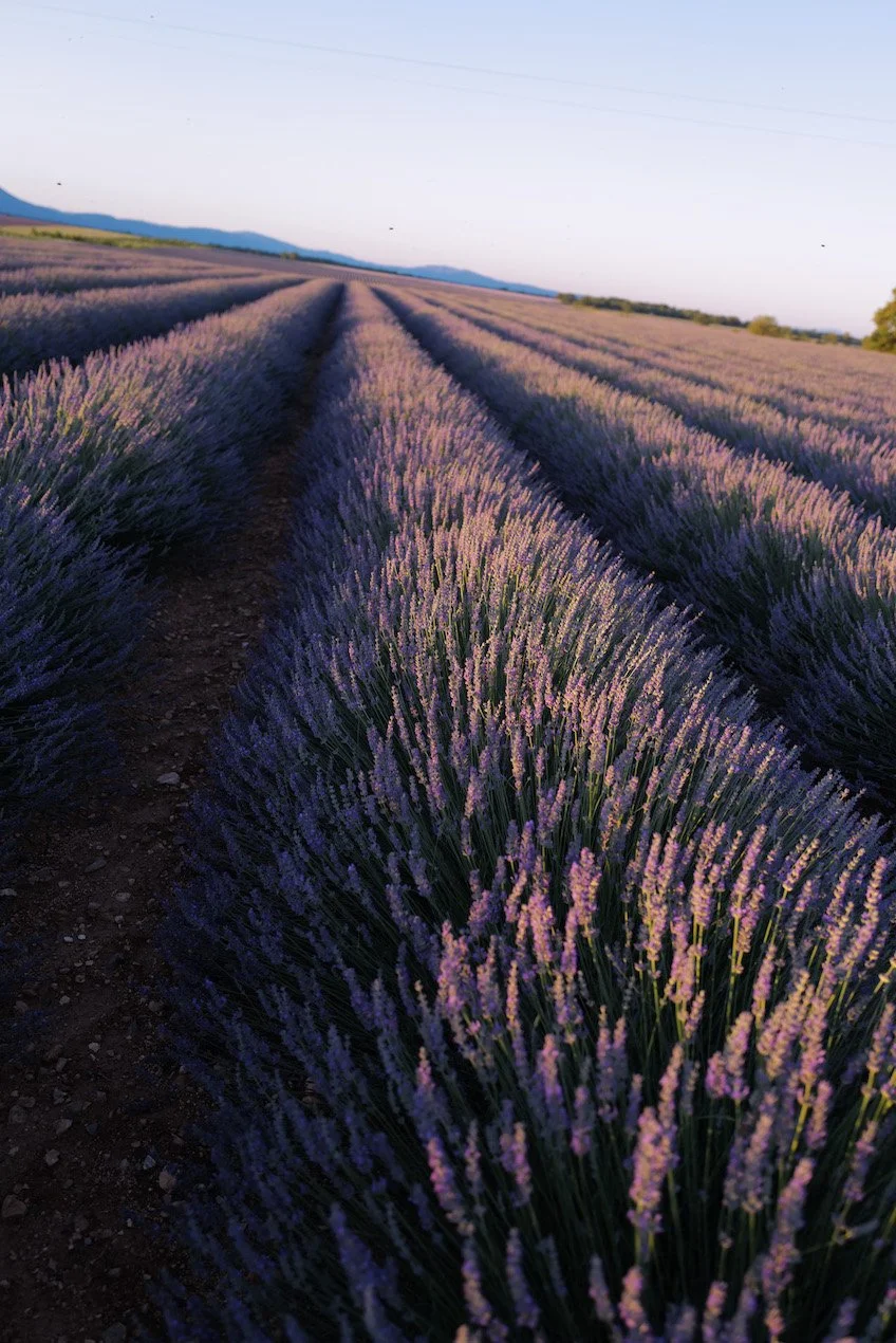 Provence meine zehn Highlights BeFifty