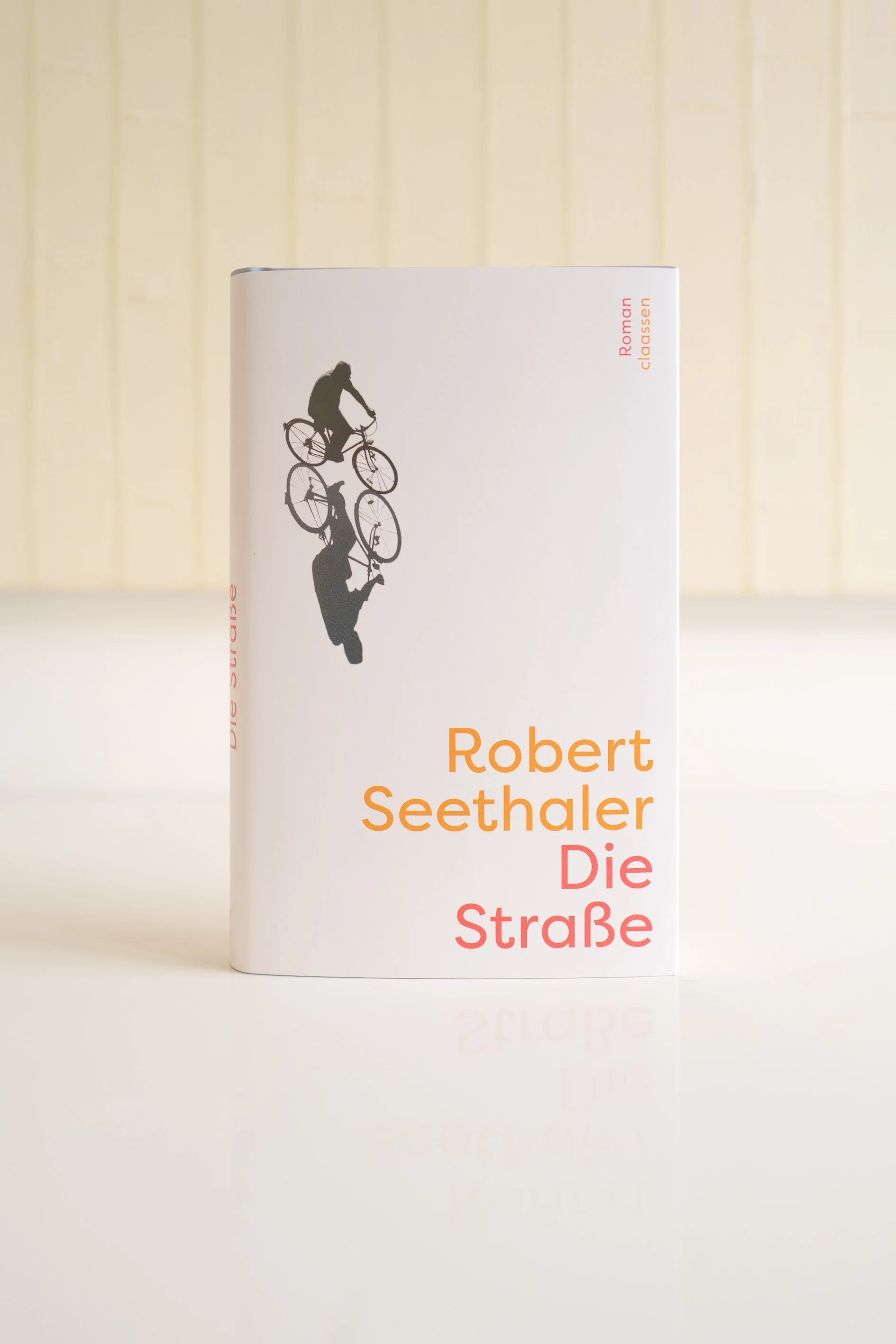 sechs Buchtipps, alles Neuerscheinungen, für entspannte Tage am See, am Meer, in den Bergen, im heimischen Garten und auf dem Balkon.