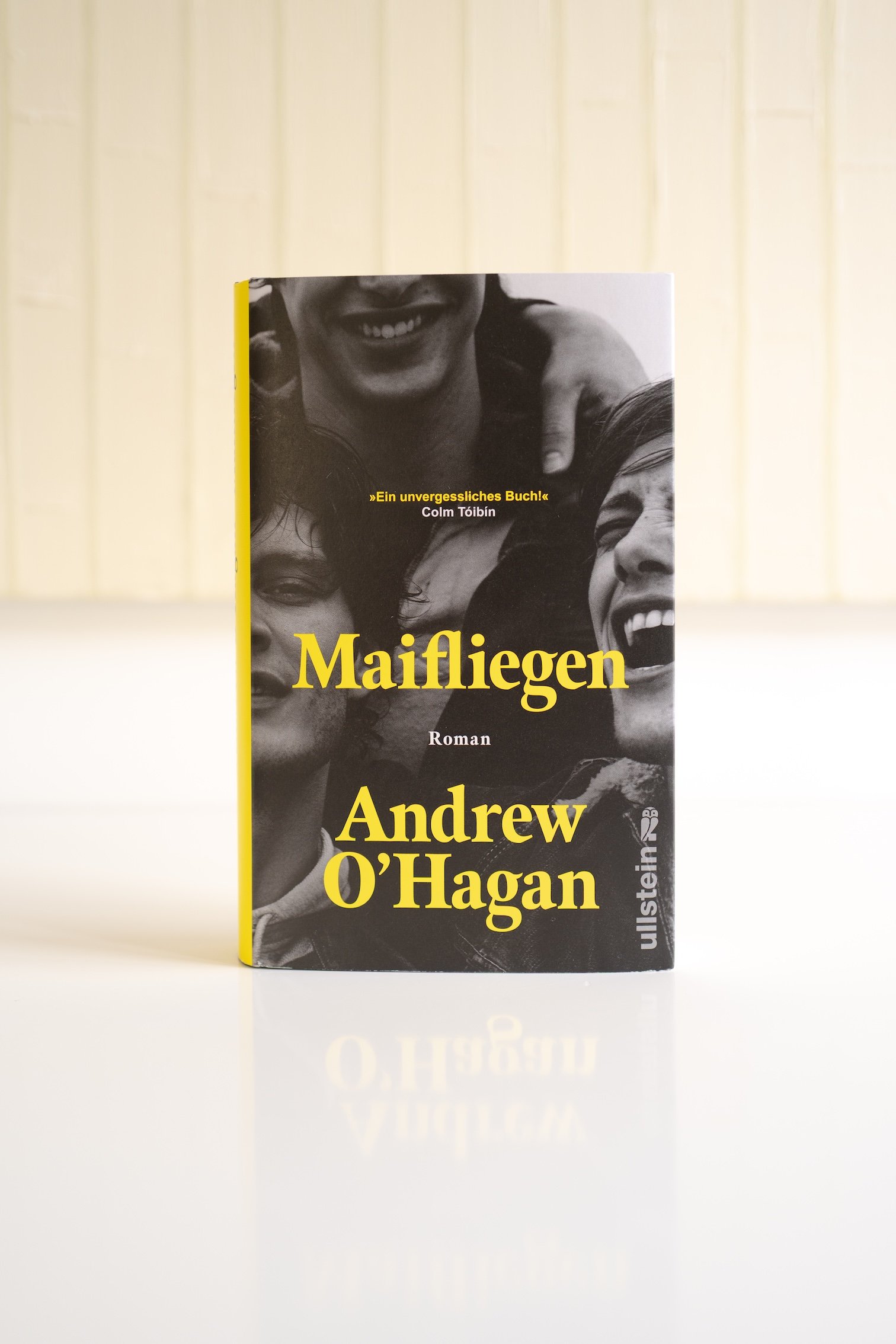 meine sechs Buchtipps, alles Neuerscheinungen, für entspannte Tage am See, am Meer, in den Bergen, im heimischen Garten und auf dem Balkon.