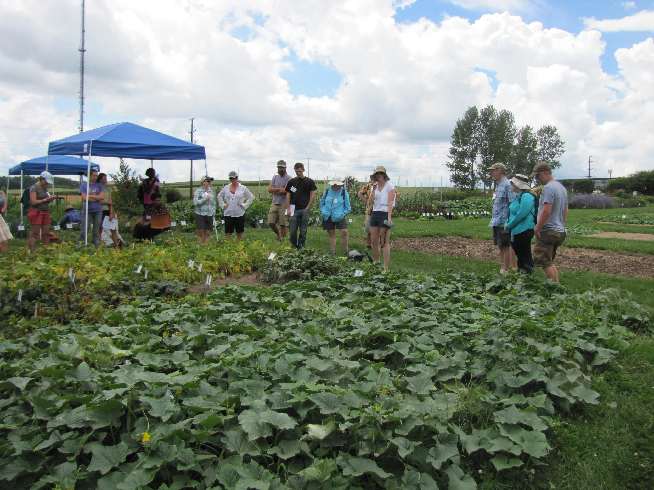 Image from SOSS 2016, Waterville, ME