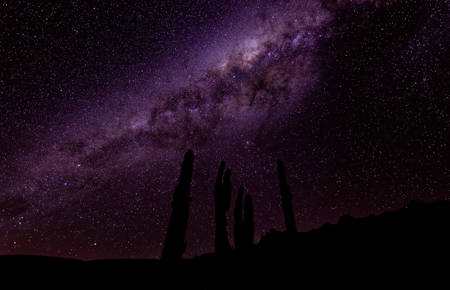 Voie lactée dans le ciel d'Atacama 