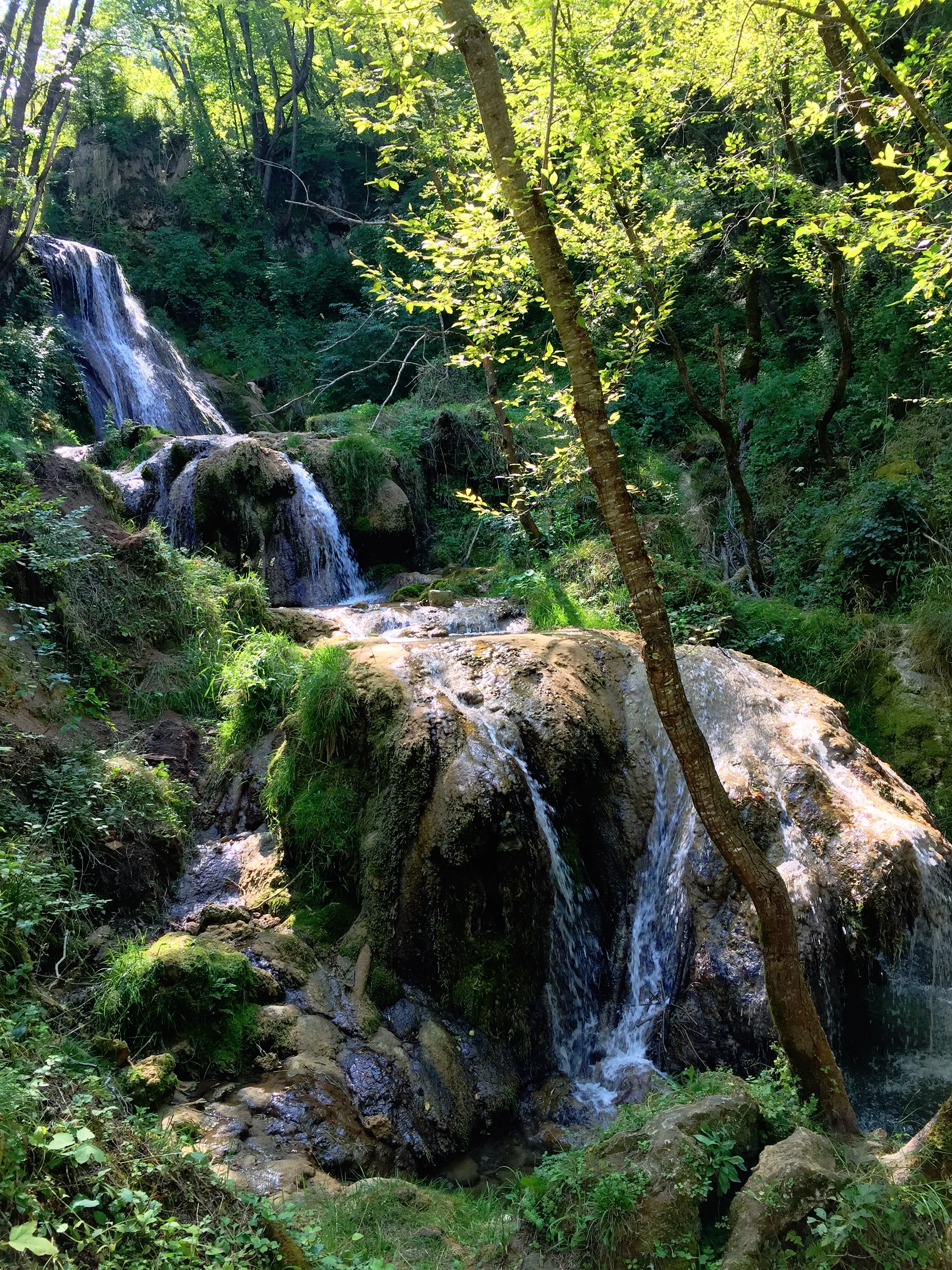 Zlatibore pitaj Taru iliti Komplet lepinja