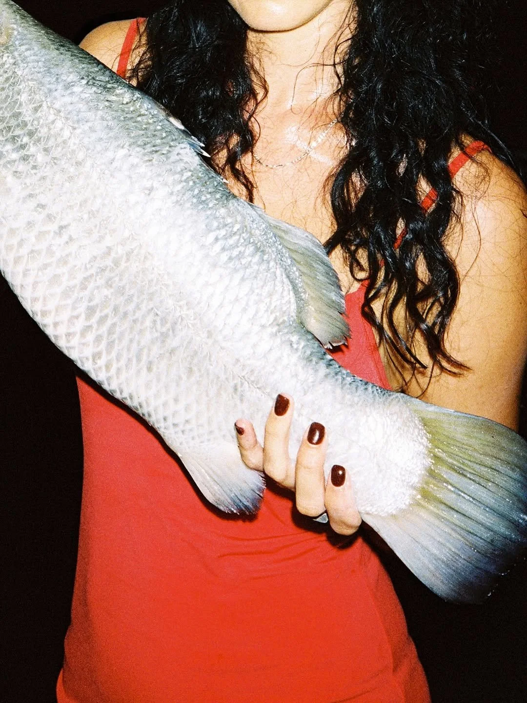 Tropical Tongue opens at Laundry Gallery, Darwin