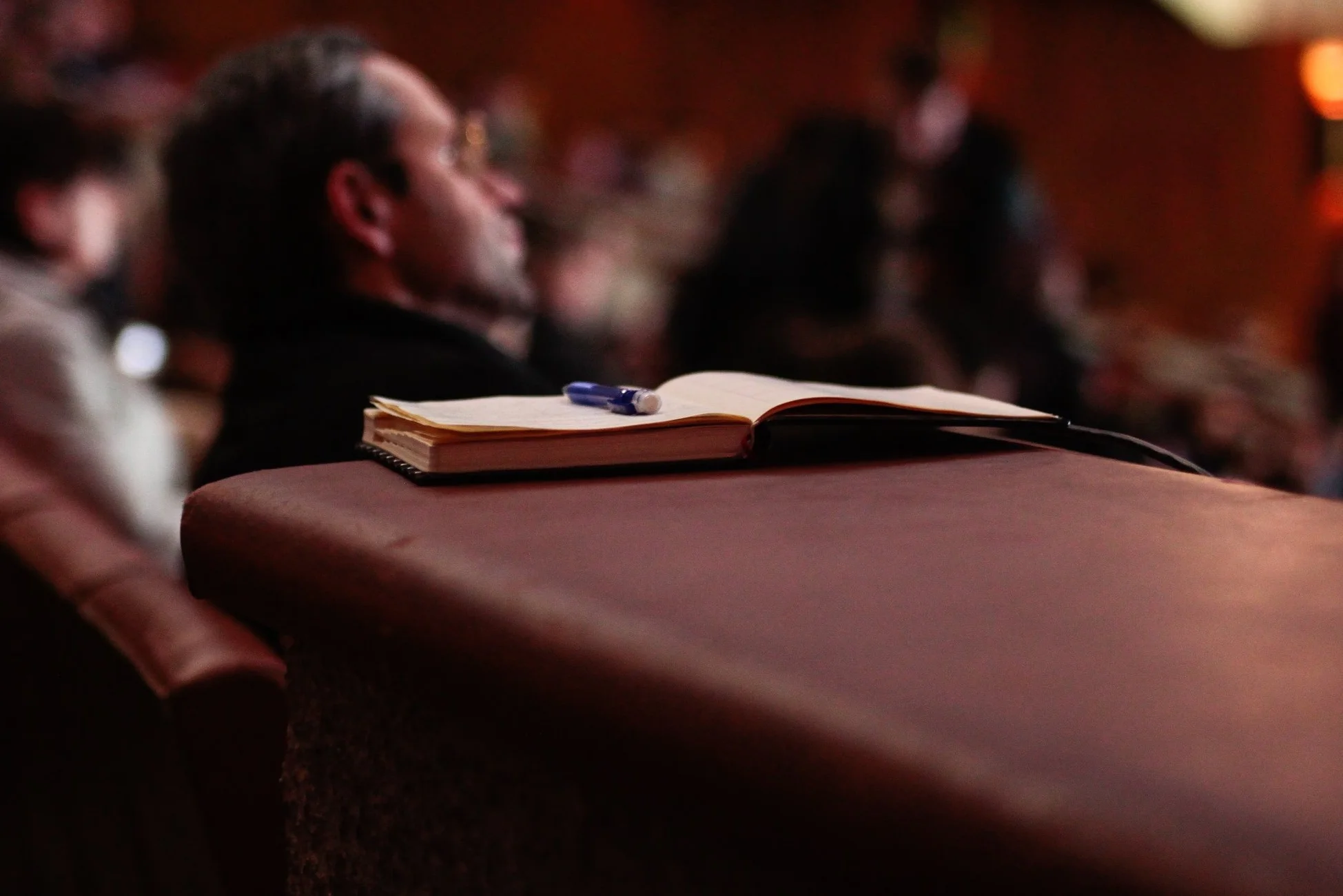 Guest Blog: Selective Hearing 