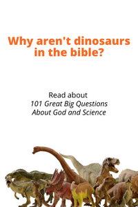 Science and God for kids (and others): Steph Bryant explores answers to the most fascinating questions