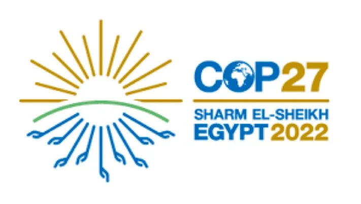 COP27: to go, or not to go?