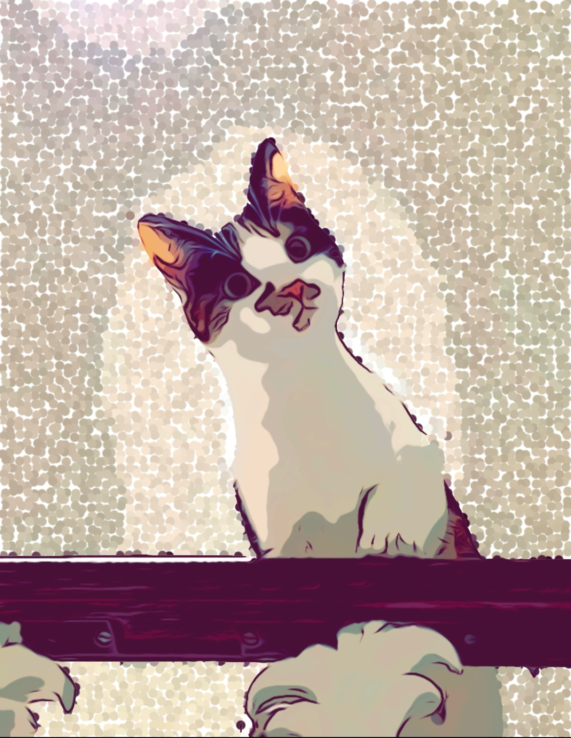 IMG_12FA4EC5B71B-1.png
