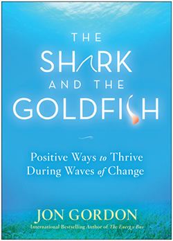 The Shark and the Goldfish by Jon Gordon