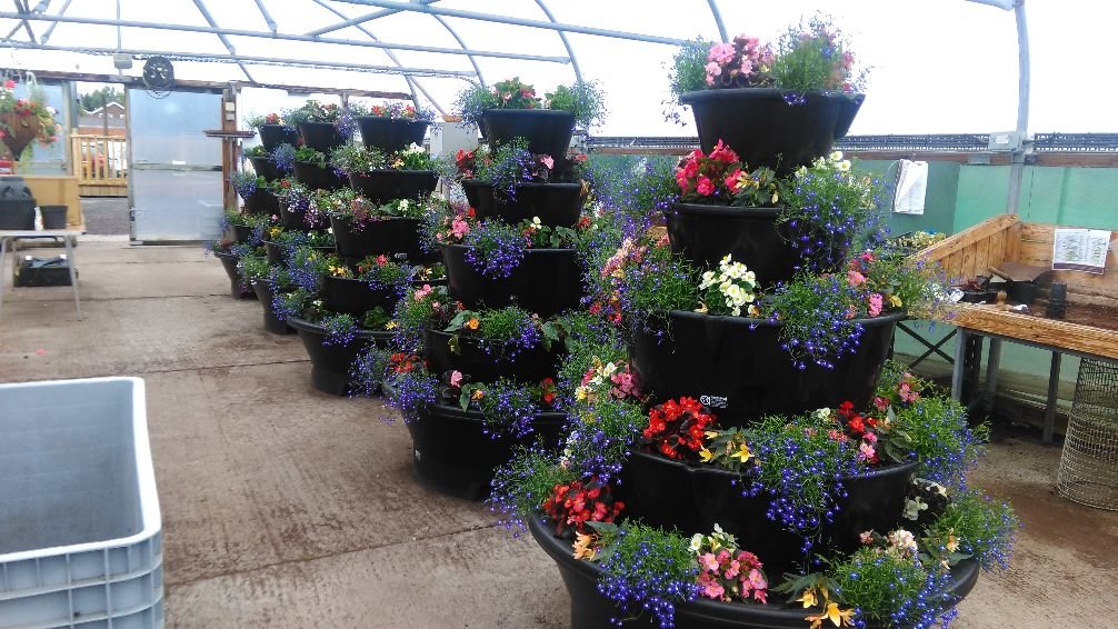 Nurseries - Tiered Flower Trays.jpg