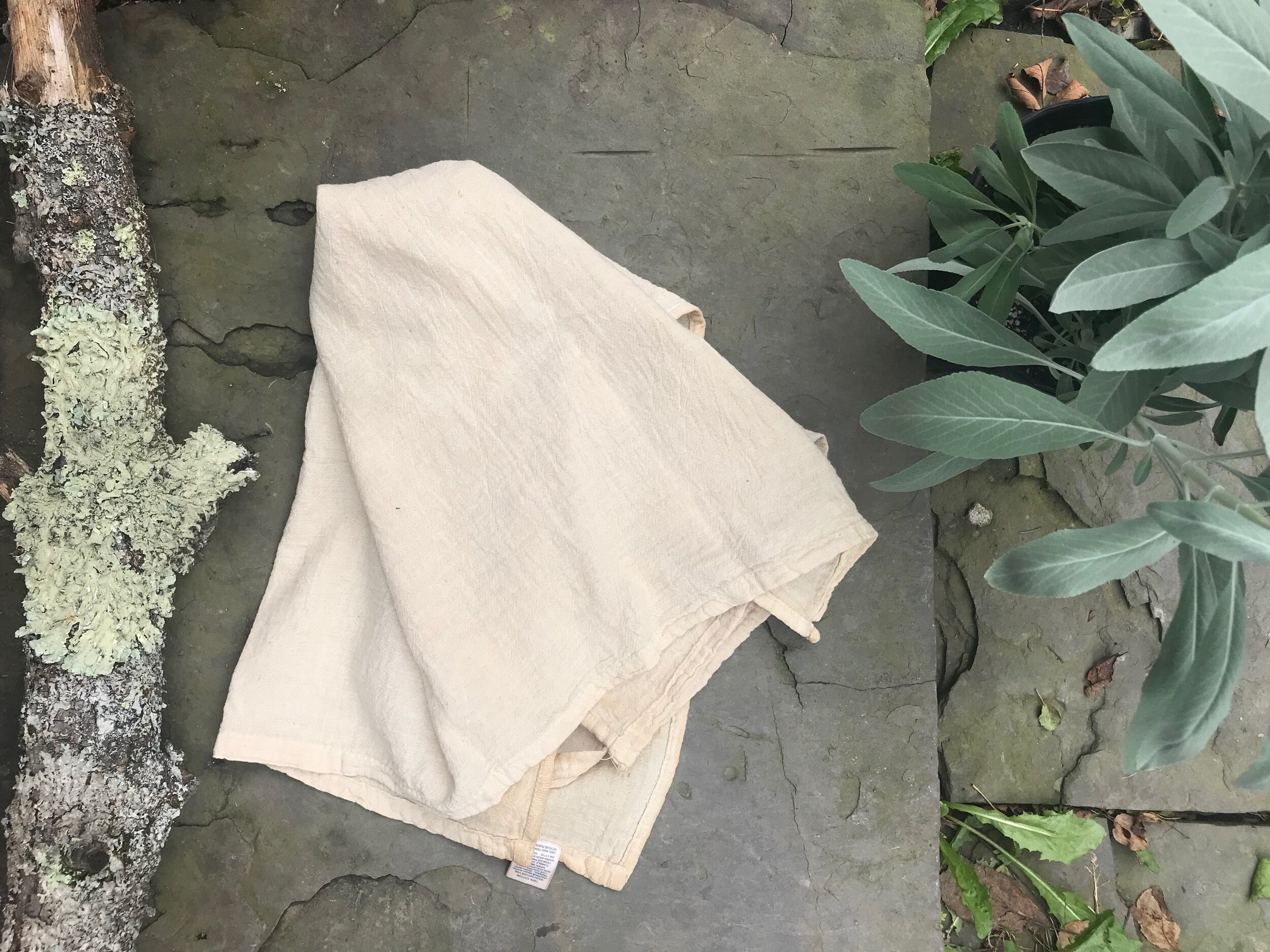 Plant Dyed Organic Cotton Kitchen Towel 2 Piece Set Naturally Dyed, Washed  Tea Towel Pack Eco Dyed Dish Towel Minimalist Homeware Eco Gift 