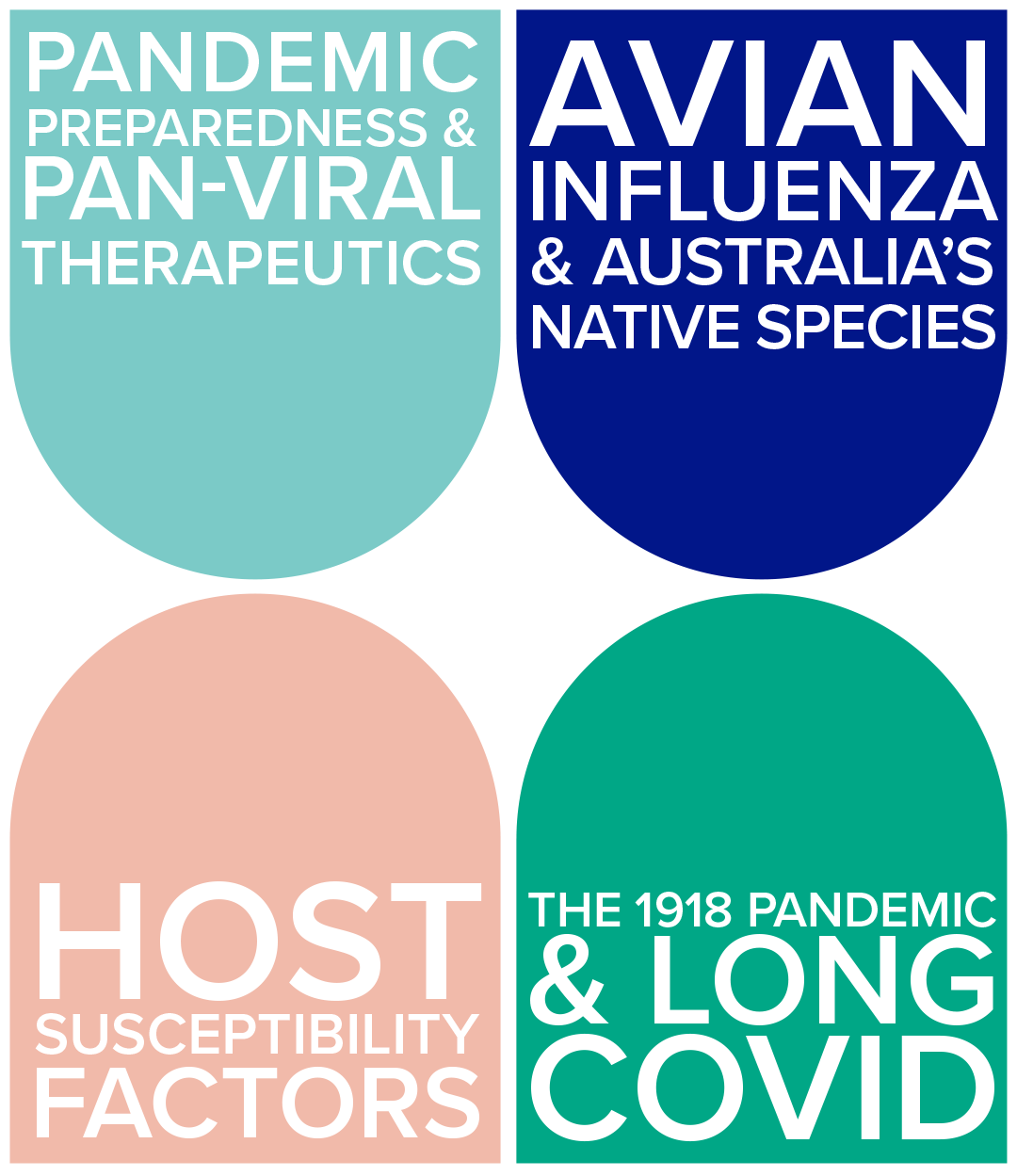 Colorful infographic with four sections discussing pandemic preparedness, avian influenza, host susceptibility factors, and the 1918 pandemic and long COVID.